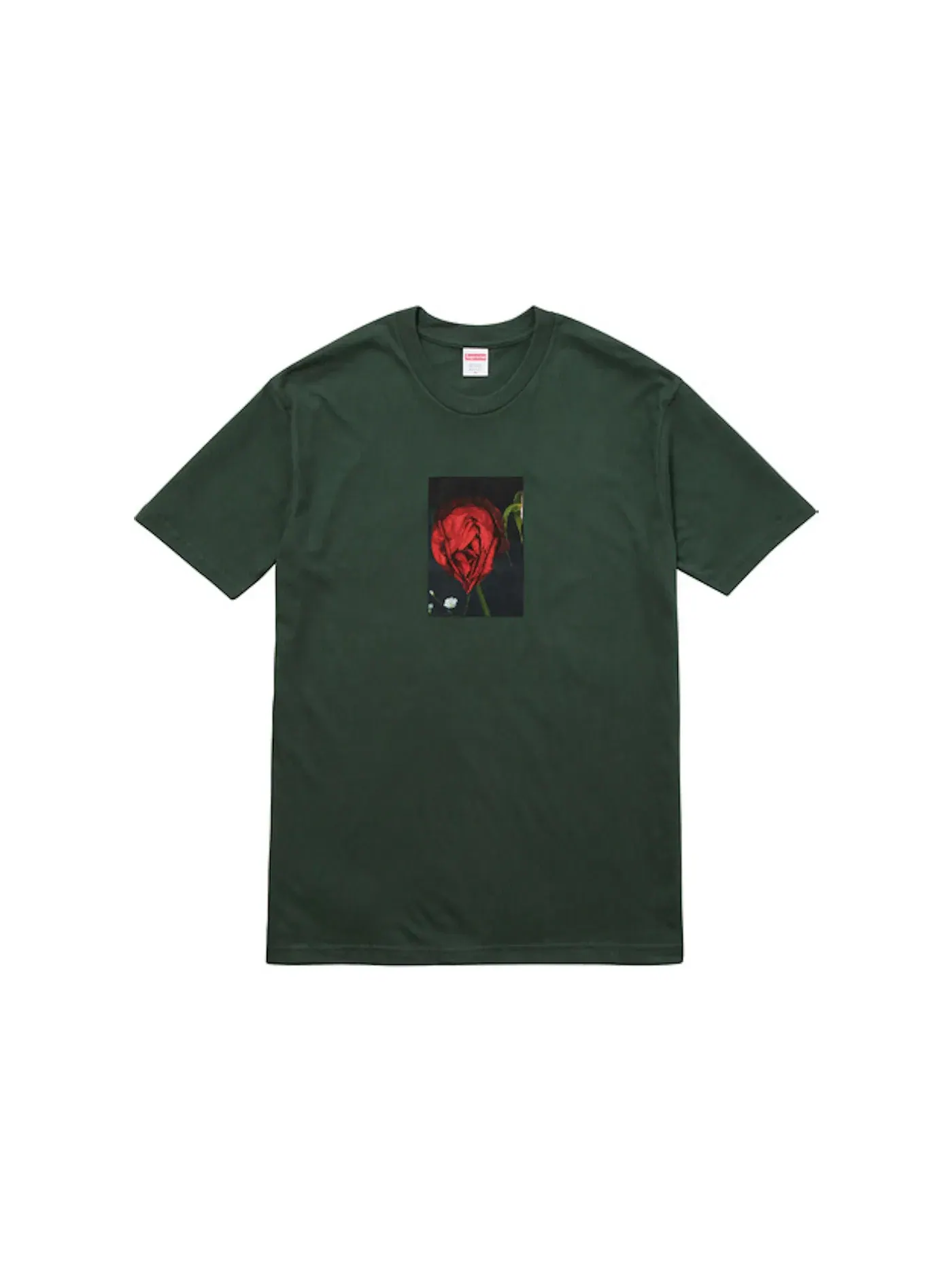Мужская футболка с принтом Supreme Tee — изображение 1 из 1, темный зеленый