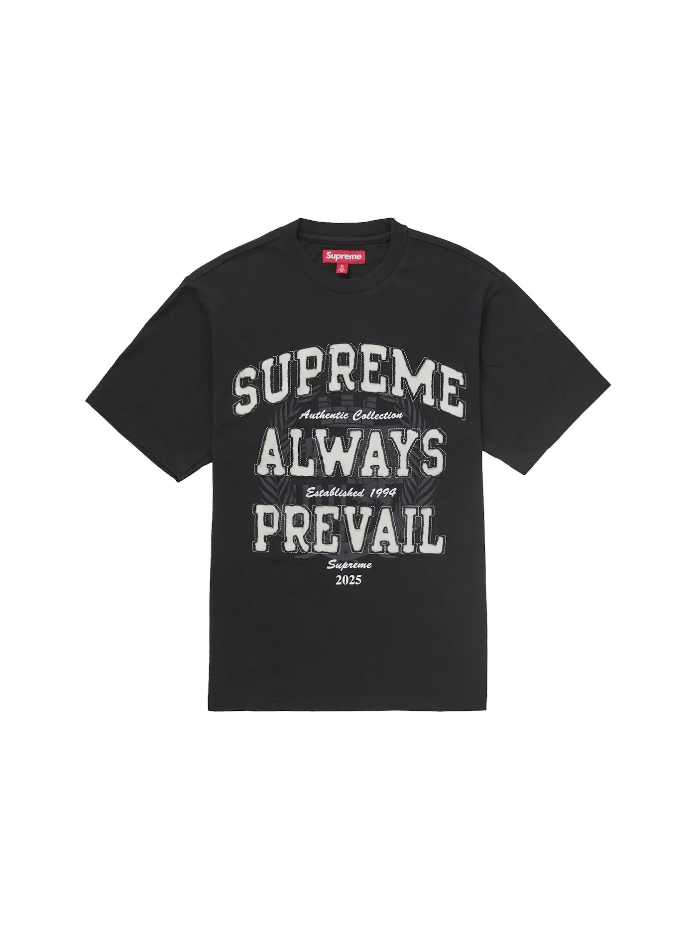 Мужская футболка с принтом Supreme Always Prevail — изображение 1 из 1, черный