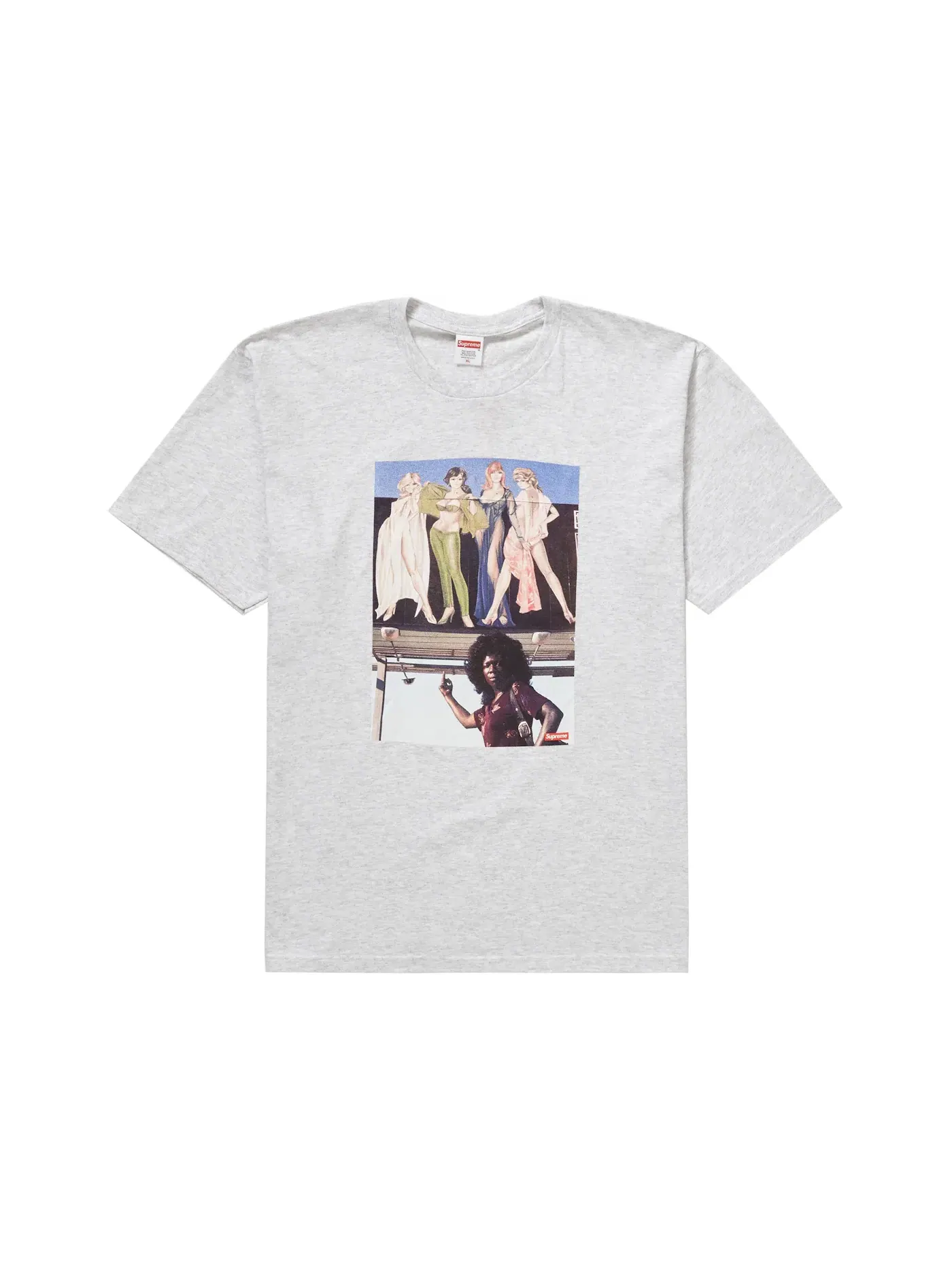 Мужская футболка с фотографическим принтом Supreme American Picture Tee — изображение 1 из 1, серый