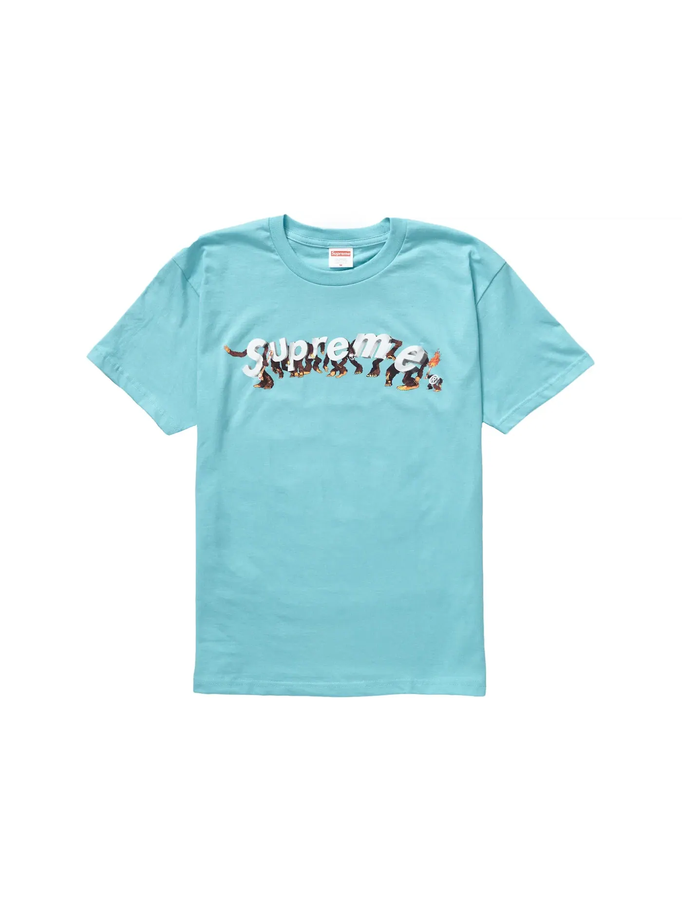 Мужская футболка с принтом Supreme Tee — изображение 1 из 1, зеленый