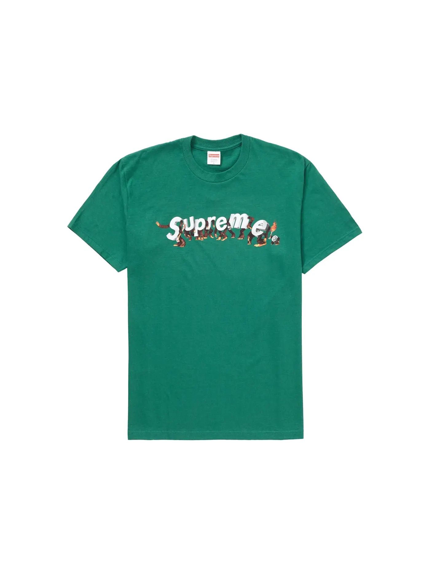 Мужская футболка с принтом Supreme Tee — изображение 1 из 1, зеленый