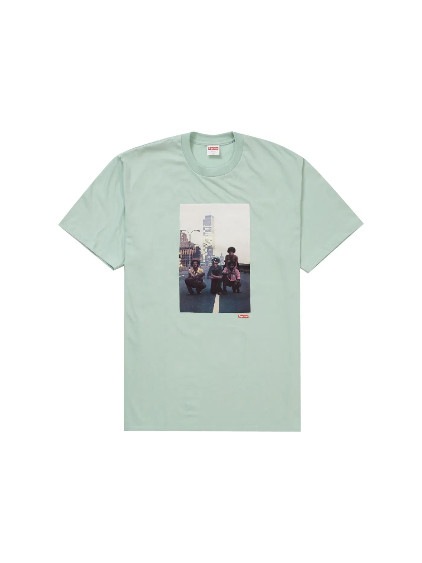 Мужская футболка с принтом Supreme Tee — изображение 1 из 1, зеленый