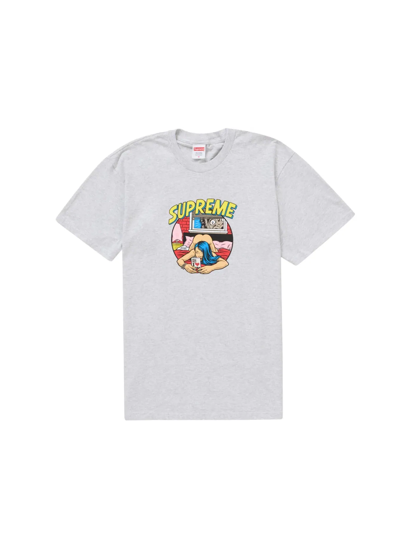 Мужская футболка с принтом Supreme Tee (SS25) — изображение 1 из 1, серый