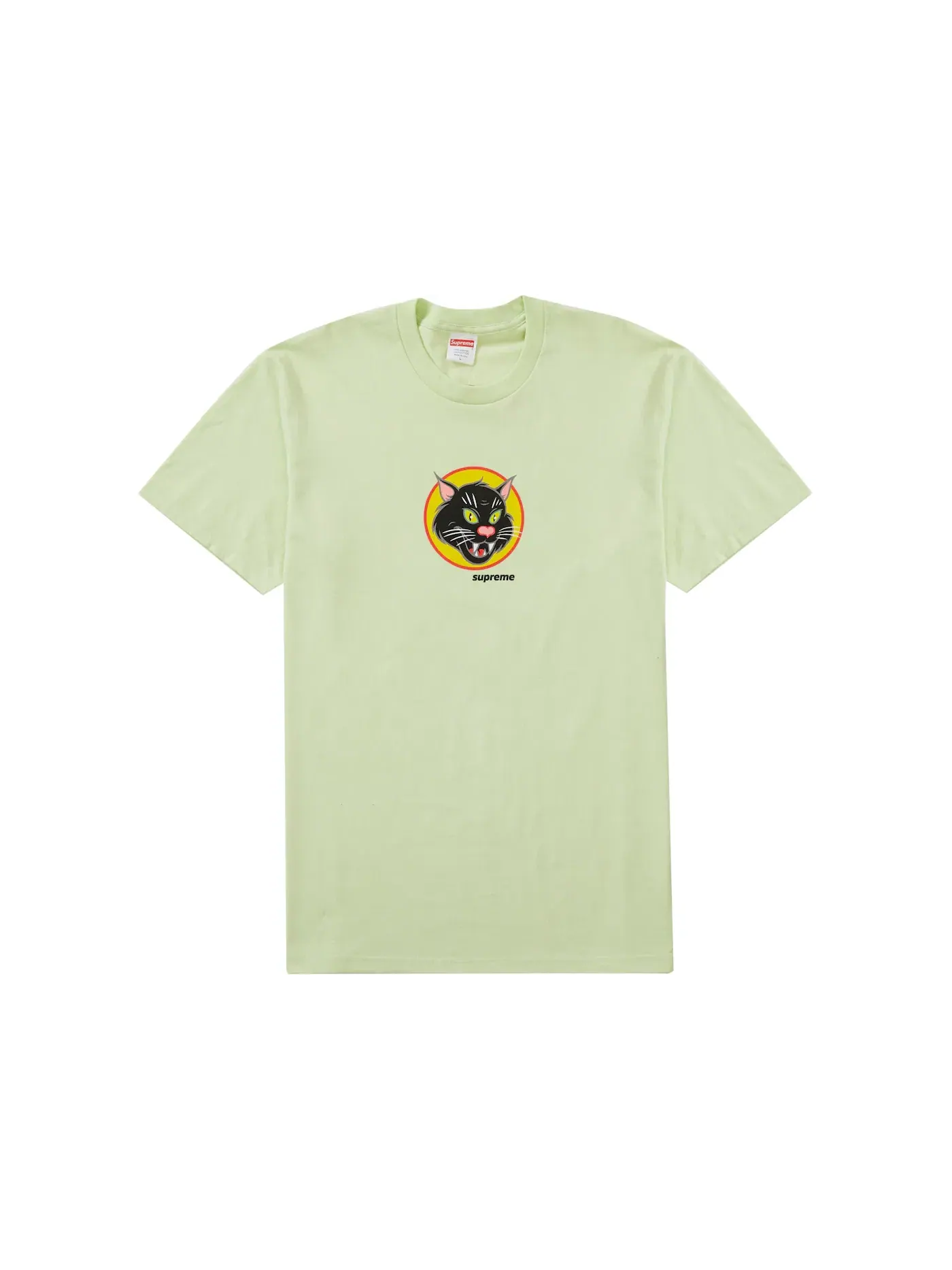 Мужская футболка с принтом Supreme Tee, Pale Mint — изображение 1 из 1