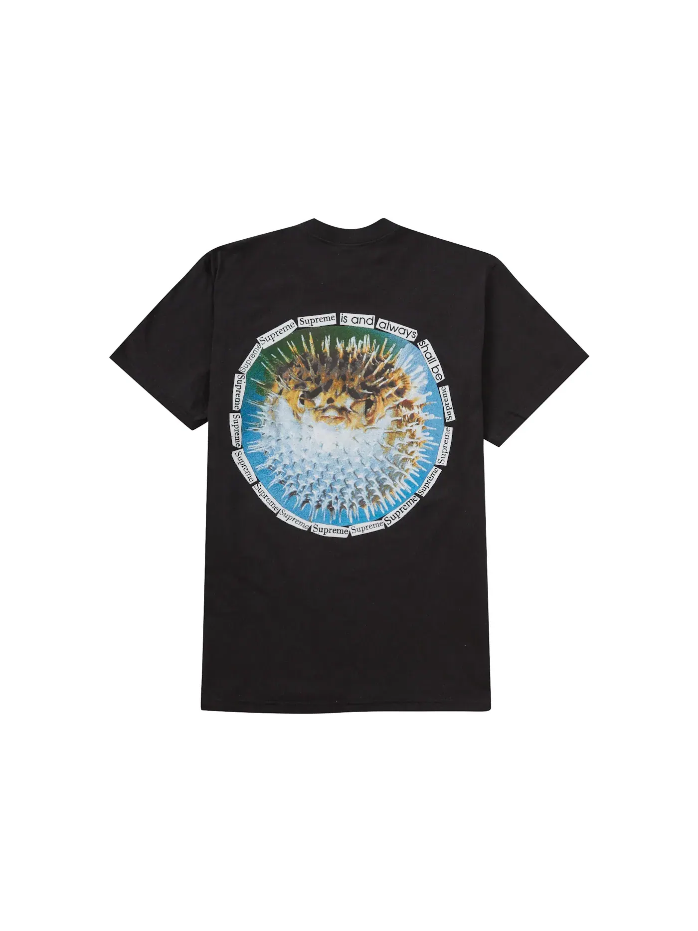 Мужская футболка с принтом Supreme Tee — изображение 1 из 2, черный