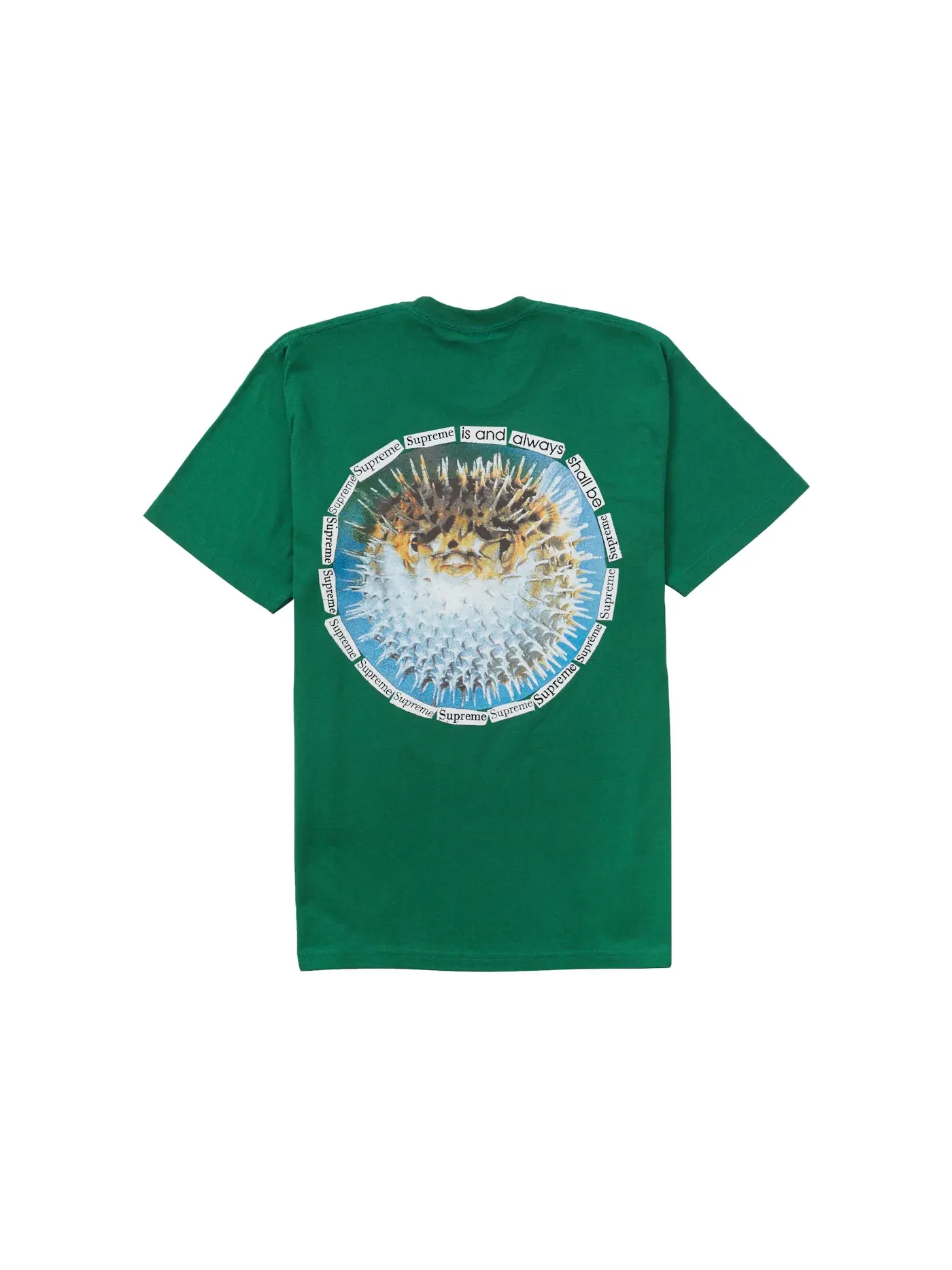Мужская футболка с принтом Tee Supreme — изображение 1 из 2, зеленый