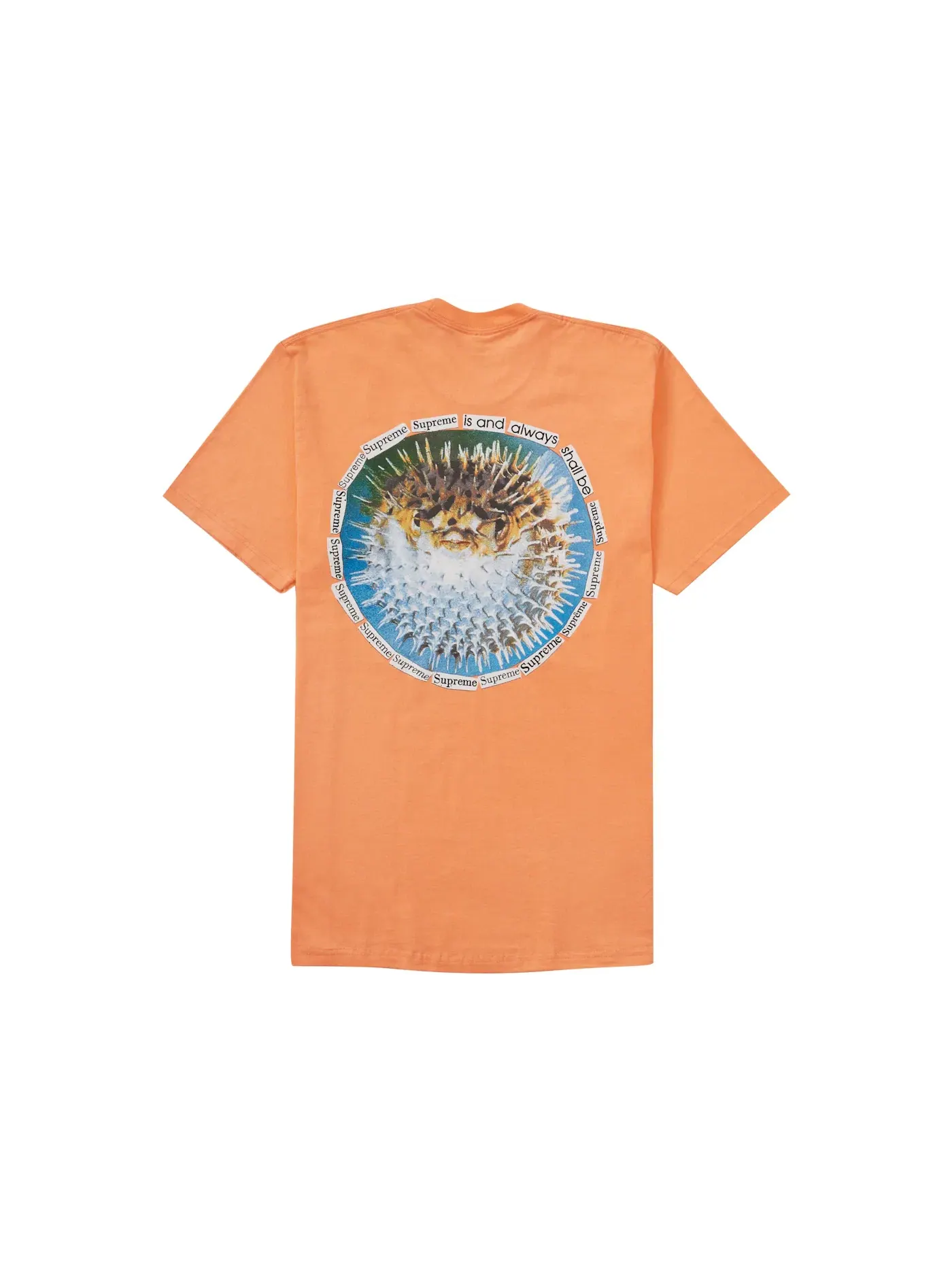 Мужская футболка с принтом Supreme Tee — изображение 1 из 2, персиковый