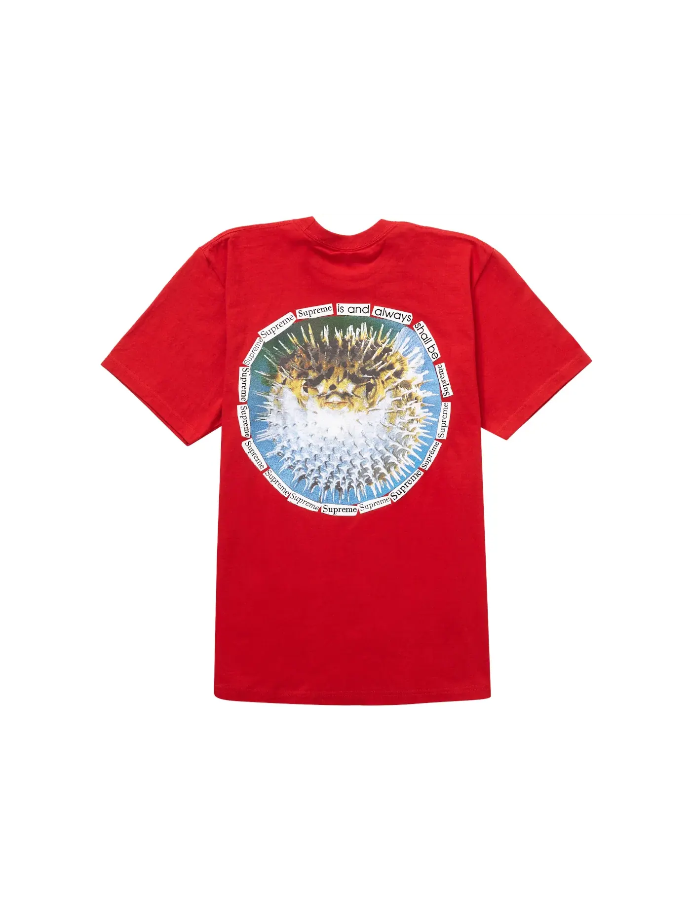 Мужская футболка с принтом Supreme Tee — изображение 1 из 2, красный