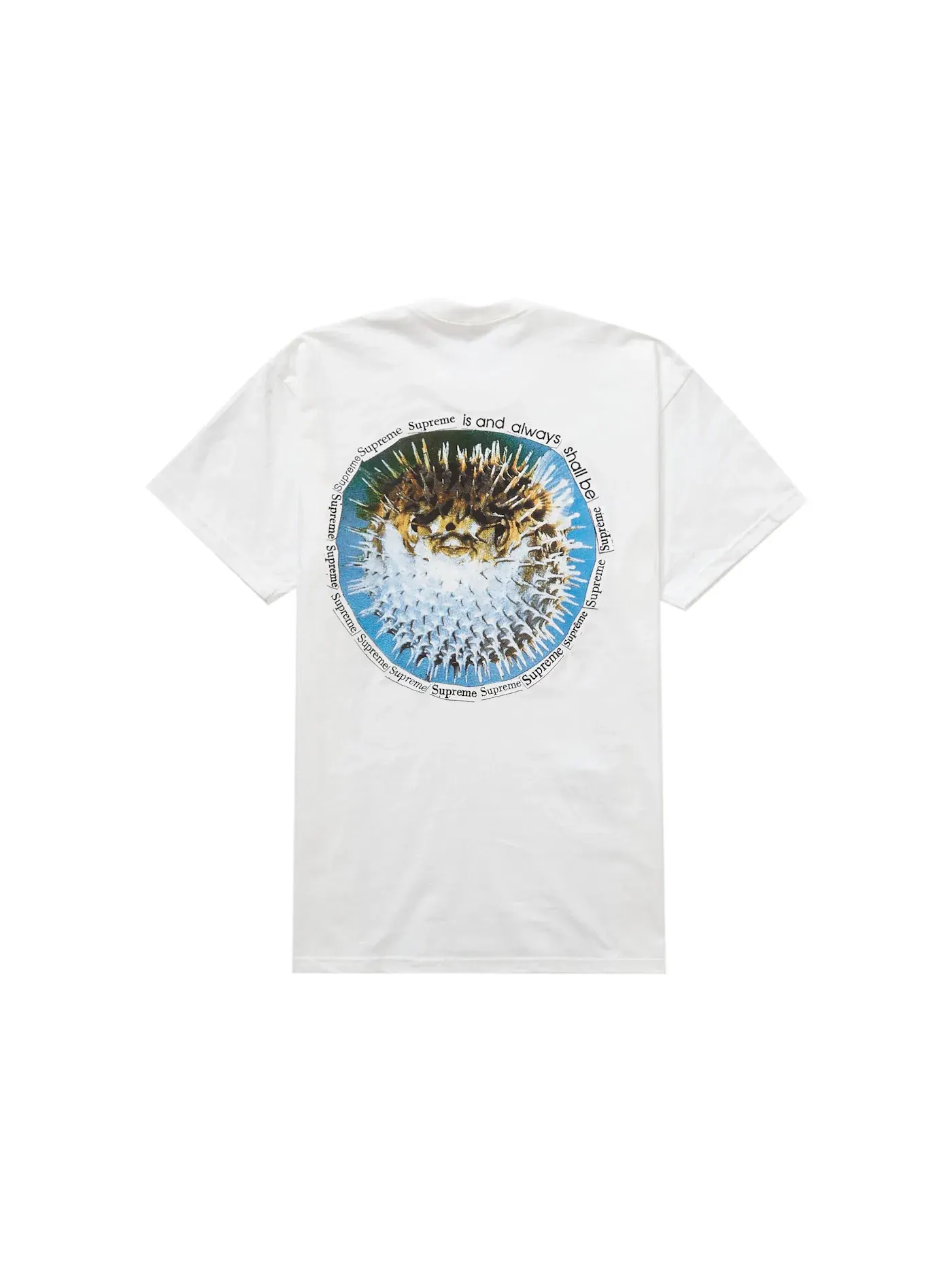 Мужская футболка с принтом Supreme Blowfish Tee — изображение 1 из 2, белый
