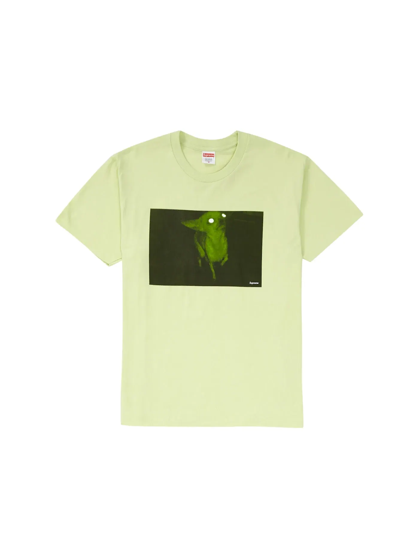 Мужская футболка с принтом Chris Cunningham Chihuahua Supreme, Pale Mint — изображение 1 из 1