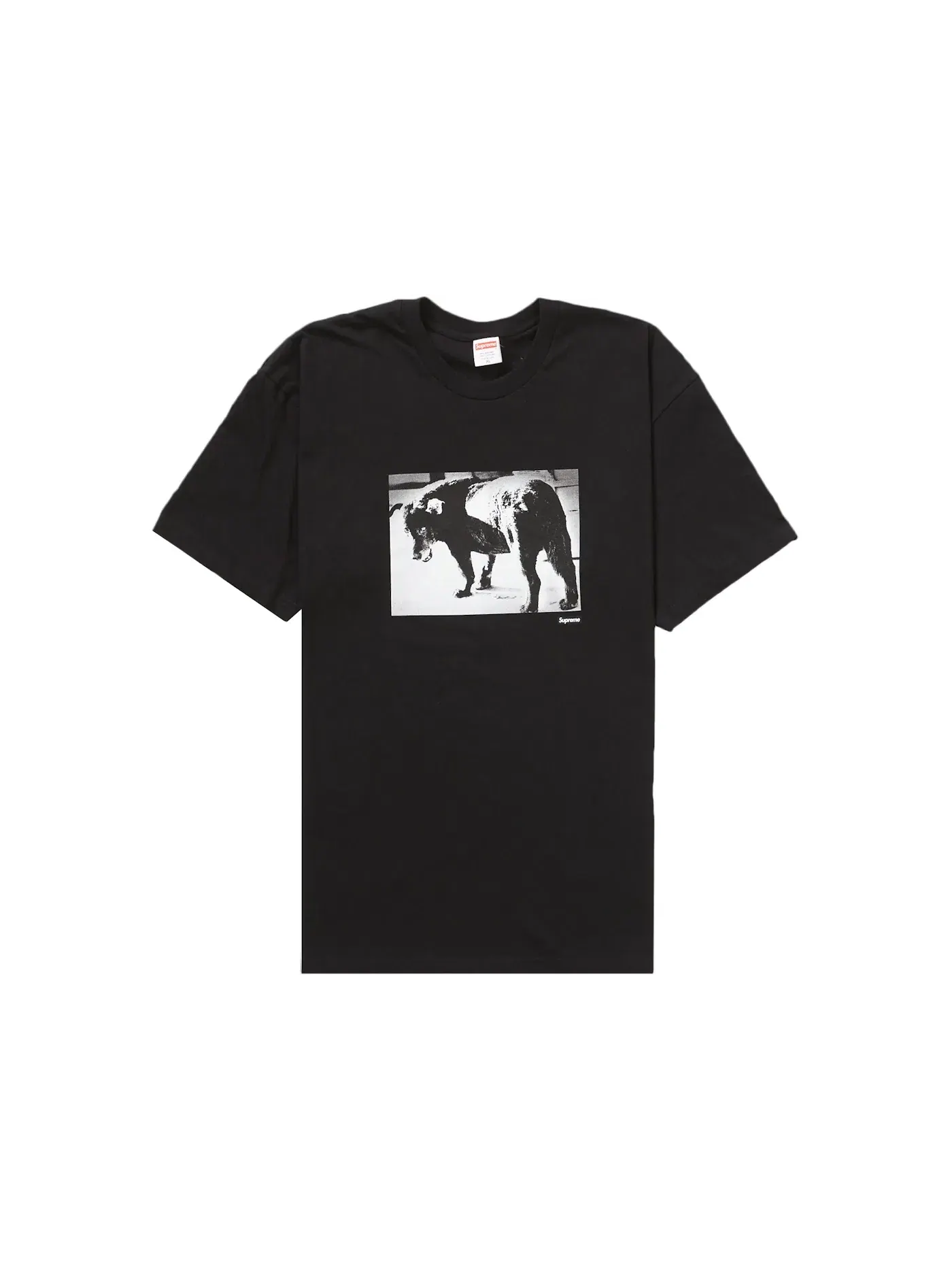 Мужская футболка с принтом Daidō Moriyama Dog Supreme — изображение 1 из 2, черный