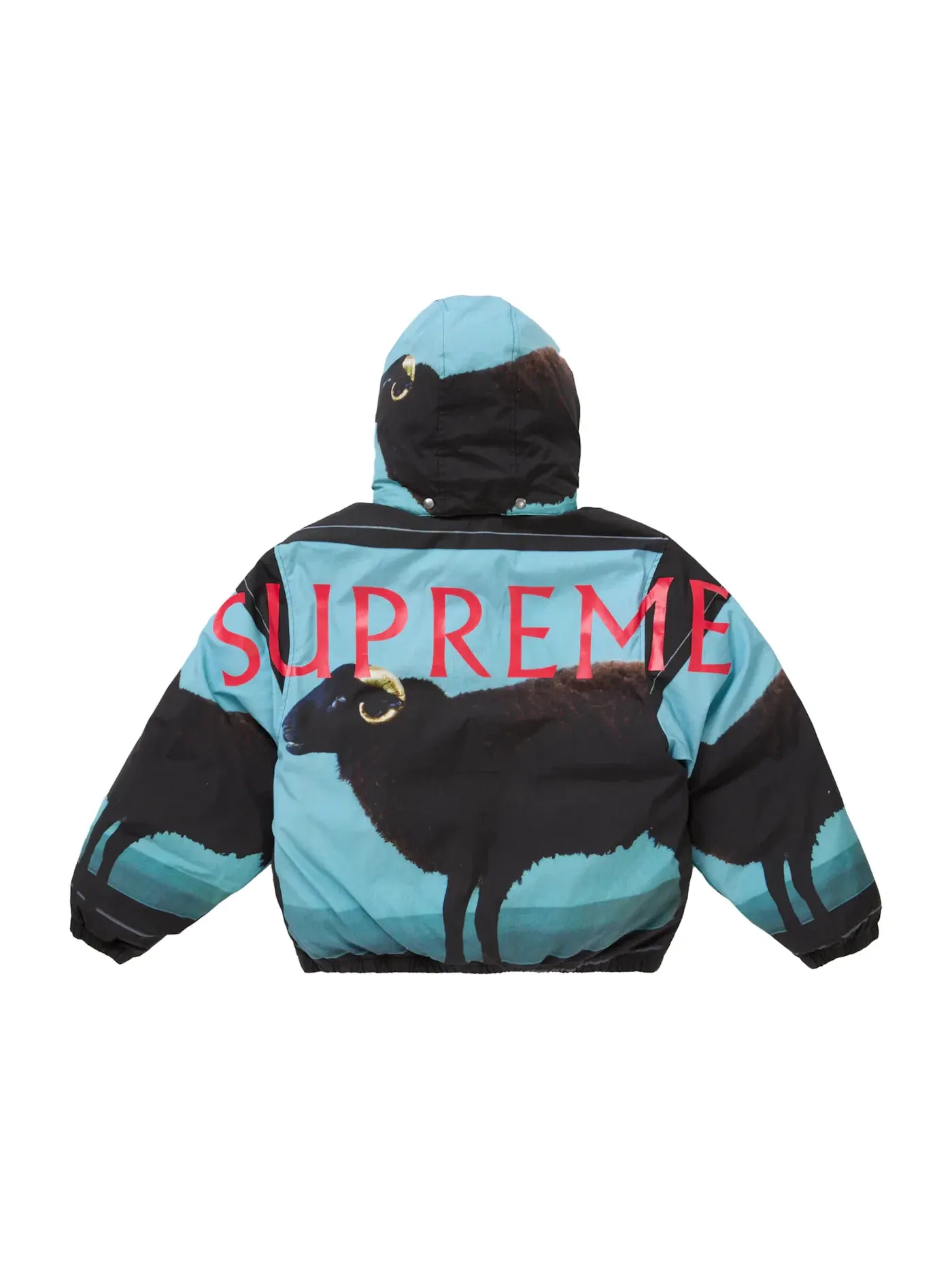 Мужская куртка-пуховик с принтом Damien Hirst Supreme — изображение 3 из 5, черный