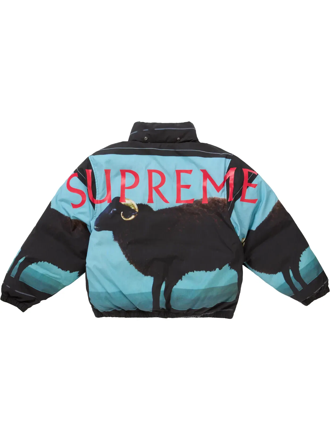 Мужская куртка-пуховик с принтом Damien Hirst Supreme — изображение 5 из 5, черный