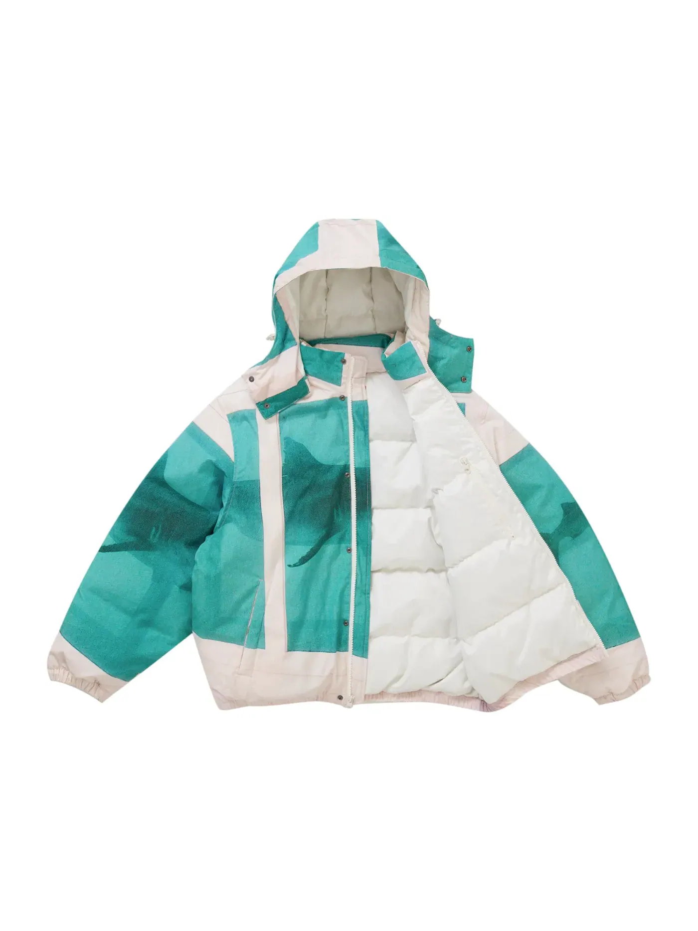 Мужская куртка-пуховик с принтом Supreme Damien Hirst Down Puffer Jacket — изображение 2 из 5, белый