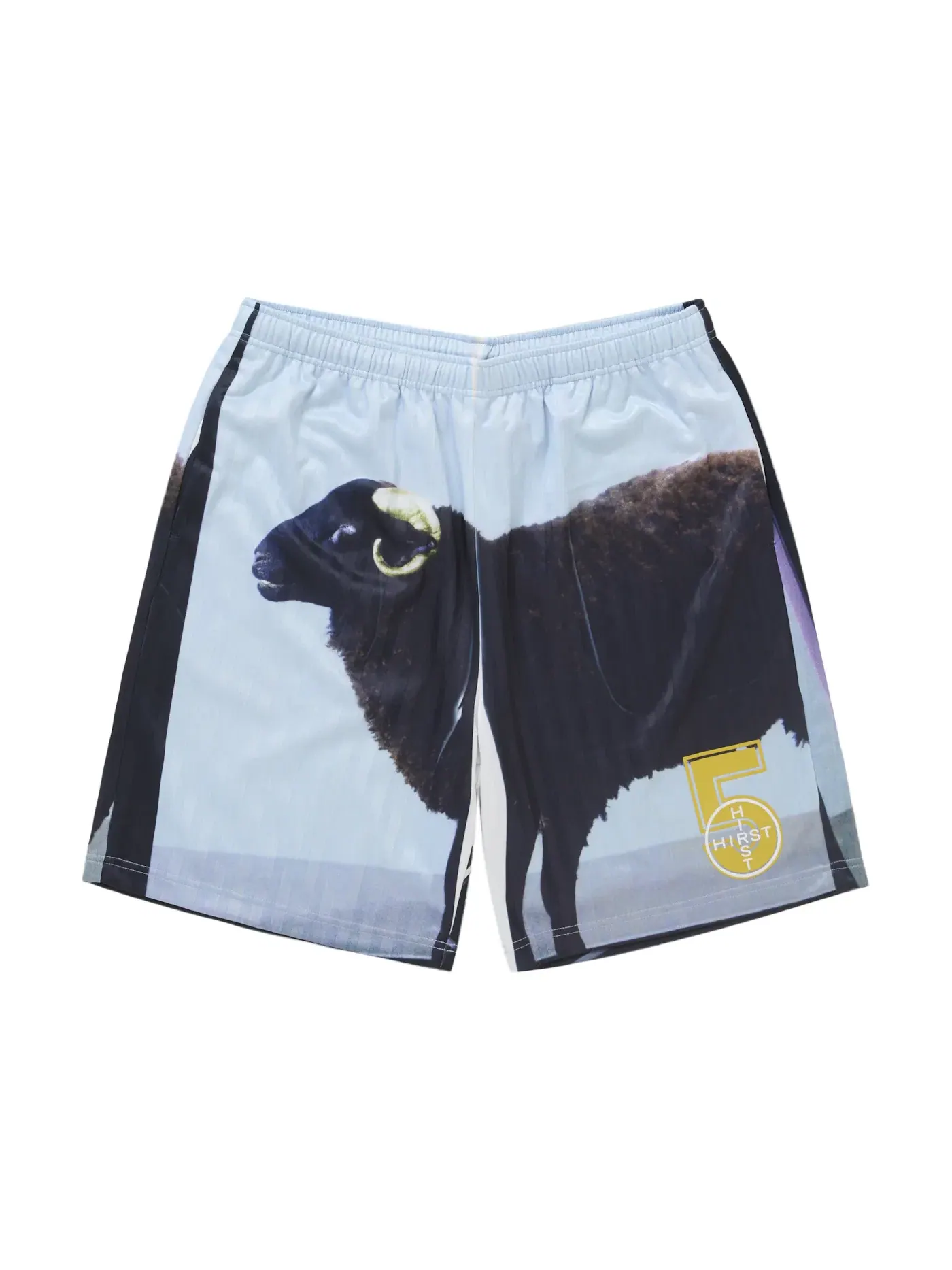 Мужские шорты Supreme Short — изображение 1 из 2, черный