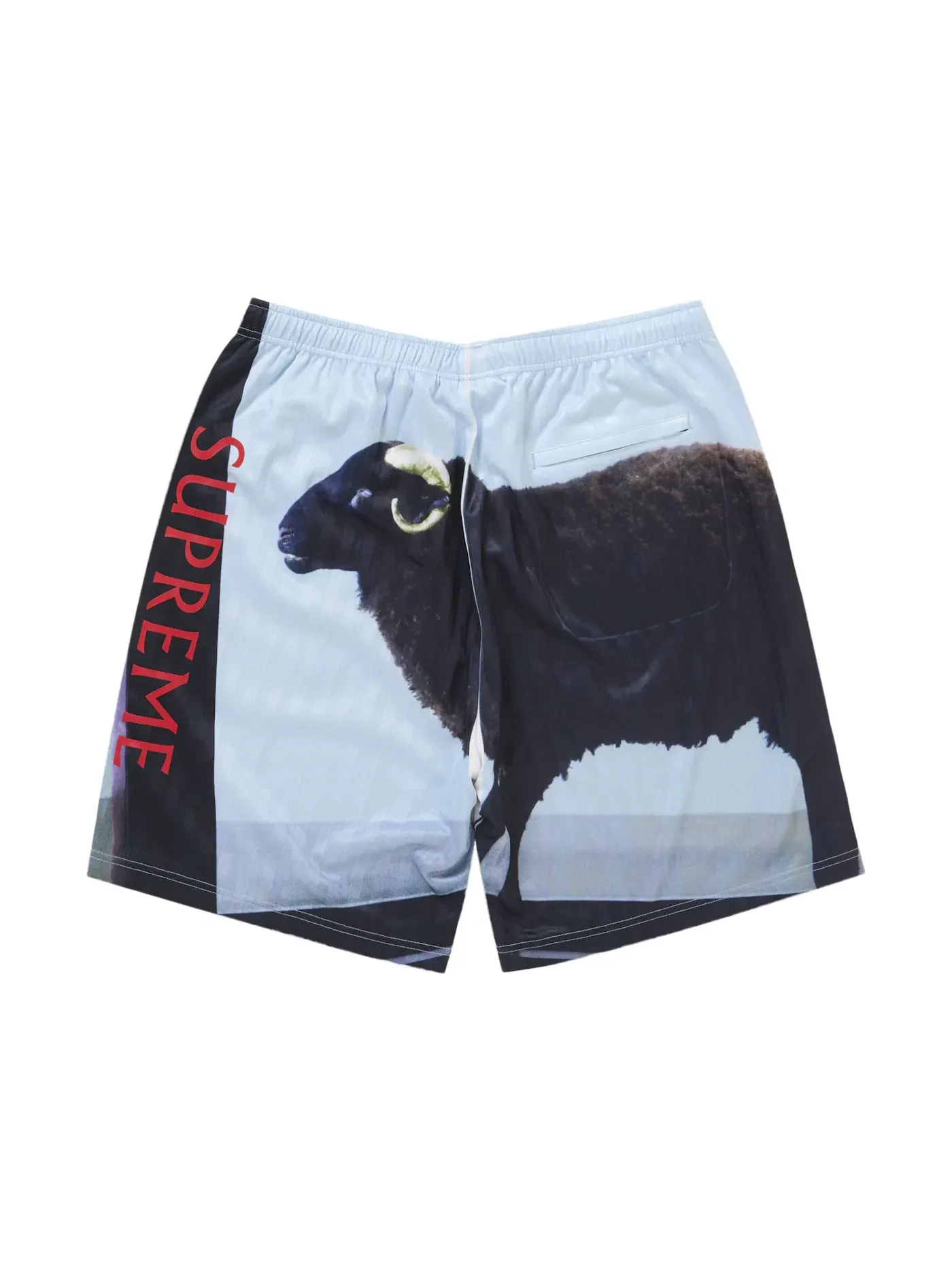 Мужские шорты Supreme Short — изображение 2 из 2, черный