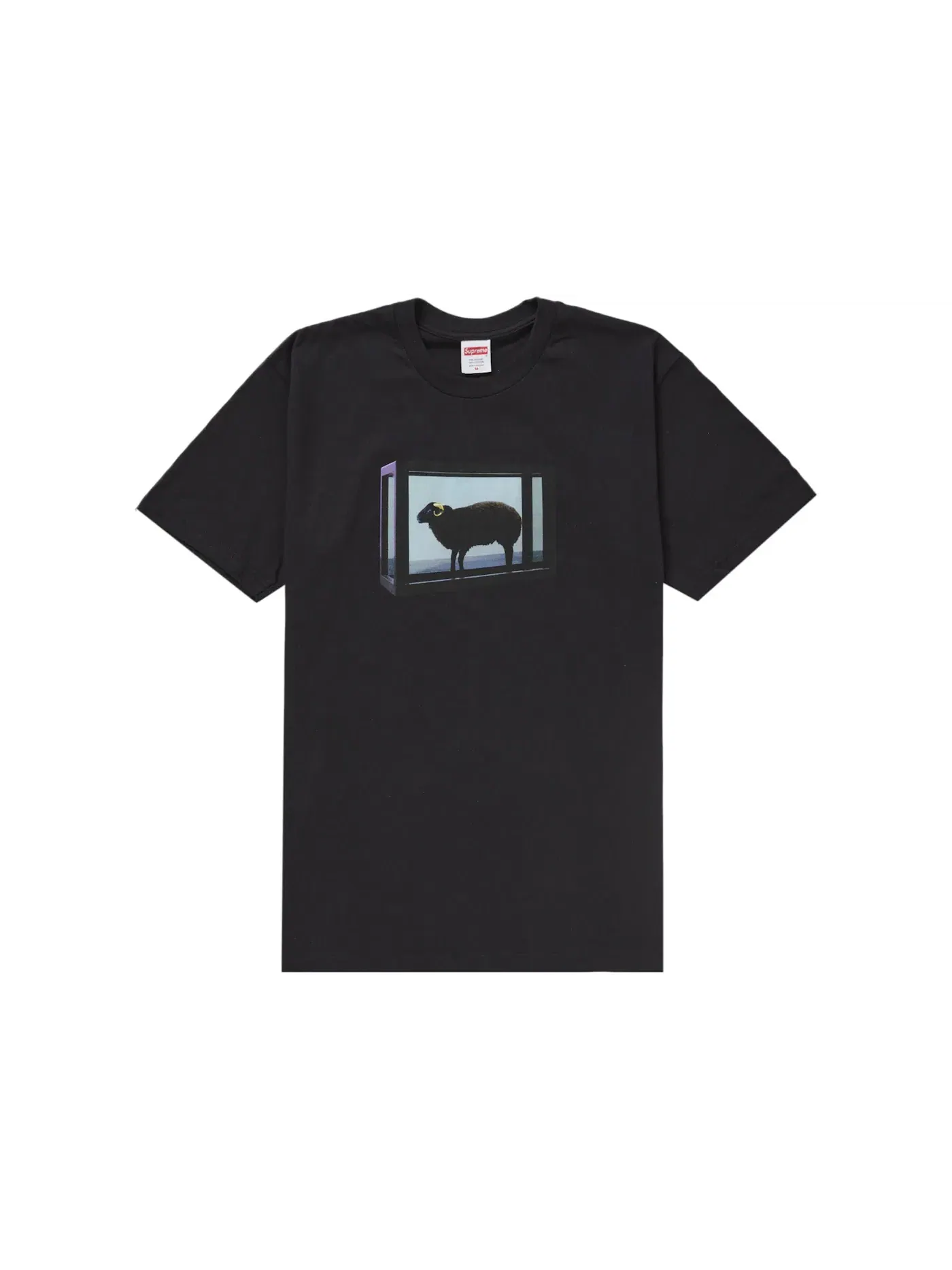 Мужская футболка с принтом Supreme Tee — изображение 1 из 2, черный