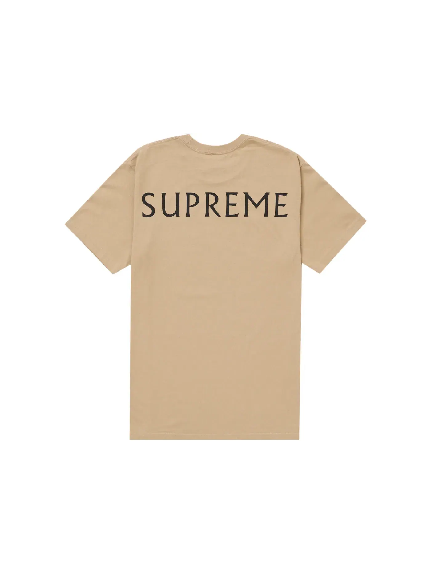 Мужская футболка с принтом Damien Hirst Supreme — изображение 2 из 2, хаки