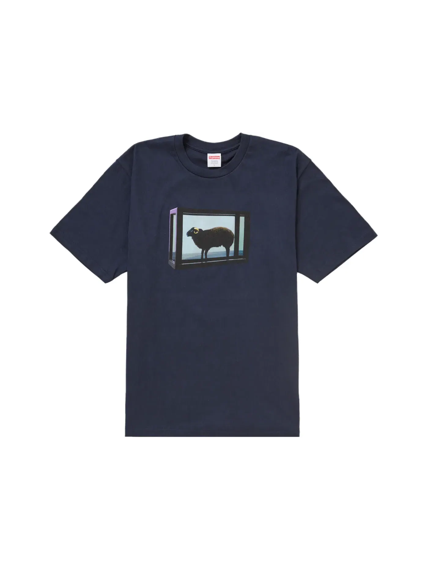 Мужская футболка с принтом Supreme Damien Hirst Tee — изображение 1 из 2, темно-синий