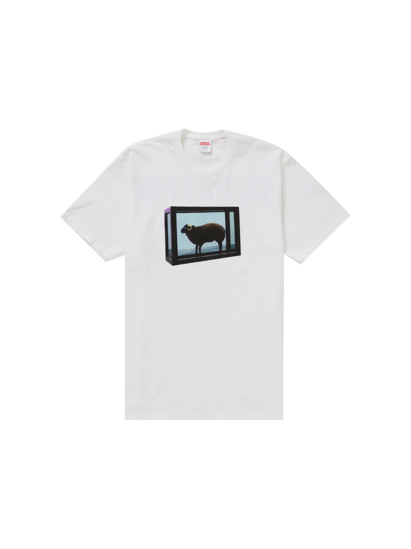 Мужская футболка с принтом Supreme Tee — изображение 1 из 2, белый
