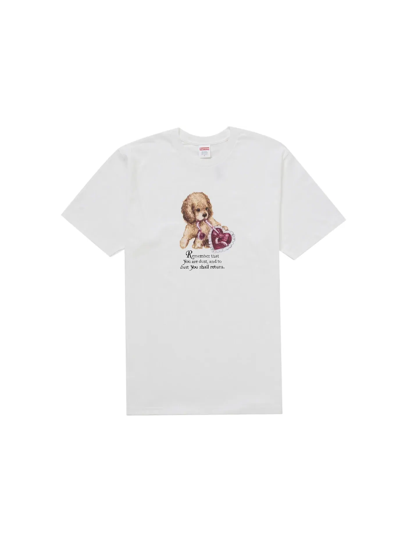 Мужская футболка с принтом Supreme Tee — изображение 1 из 1, белый
