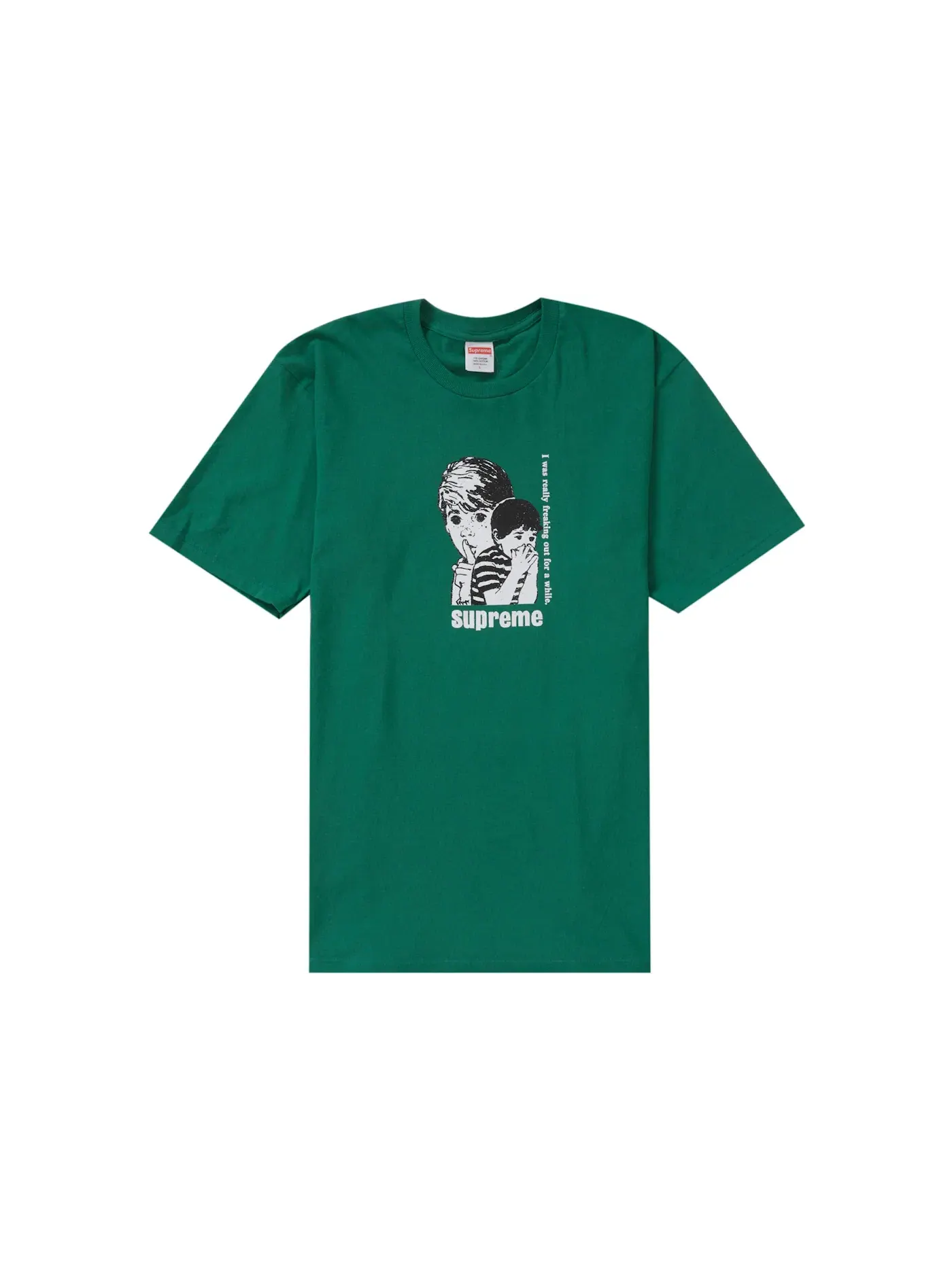 Мужская футболка с принтом Supreme Tee — изображение 1 из 1, зеленый