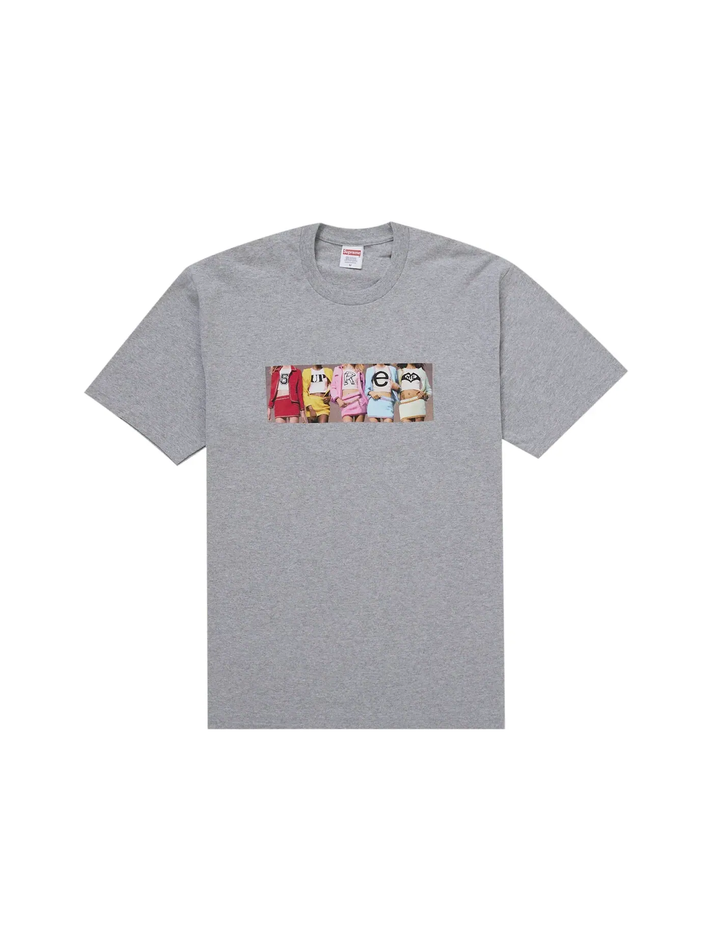 Мужская футболка с принтом Supreme Tee (FW25) — изображение 1 из 1, серый