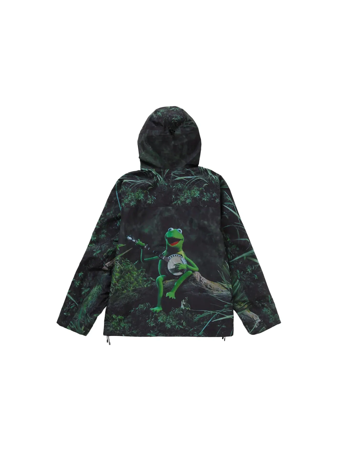 Мужская куртка из мембраны GORE-TEX с фото-принтом Kermit The Frog Supreme, Kermit The Frog — изображение 1 из 3
