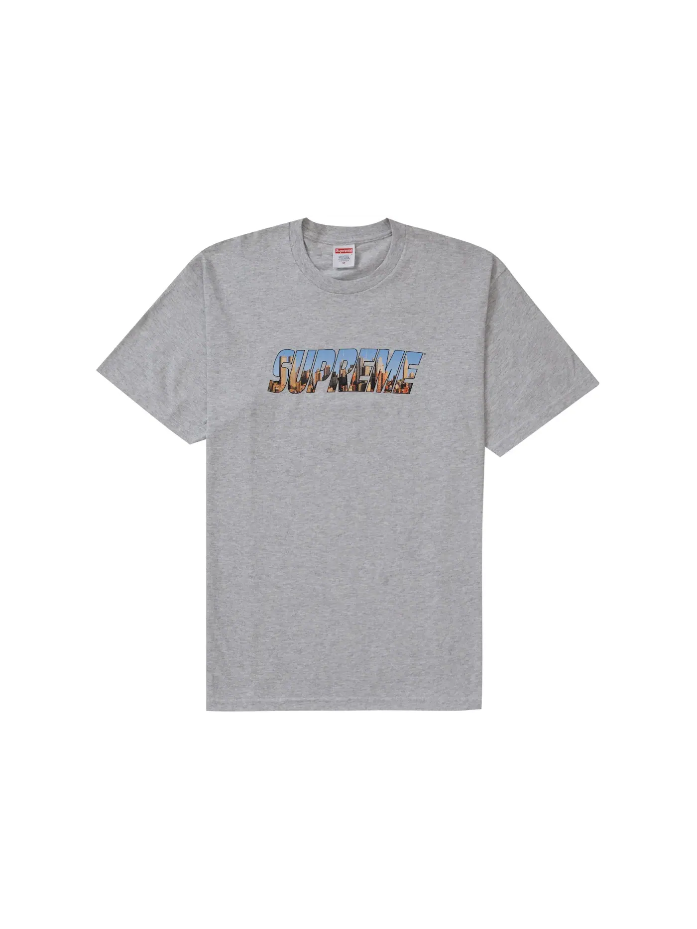 Мужская футболка с принтом Supreme Gotham Tee — изображение 1 из 1, серый