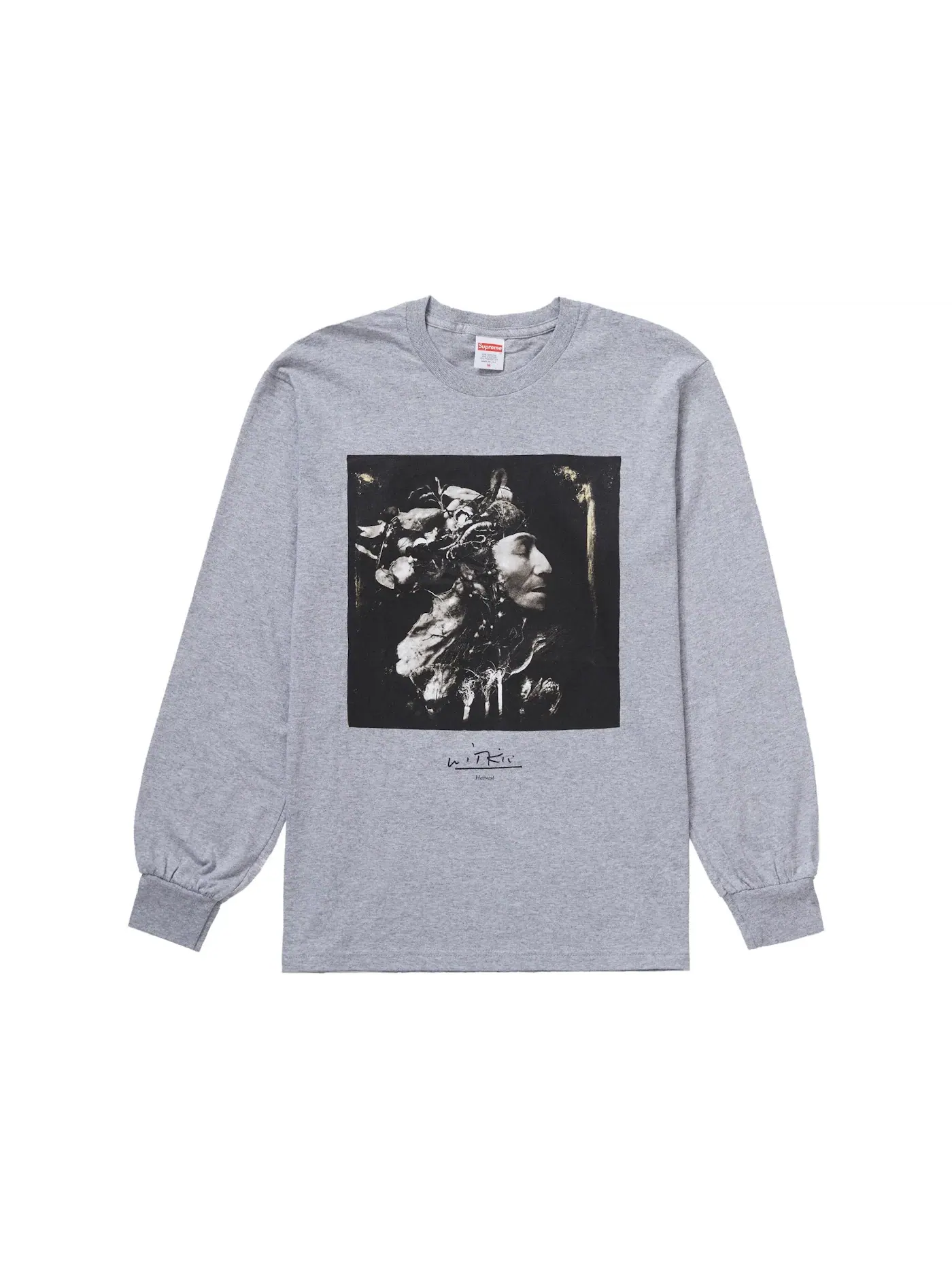 Мужская футболка с длинным рукавом с принтом Supreme Joel-Peter Witkin Harvest L/S Tee — изображение 1 из 2, серый