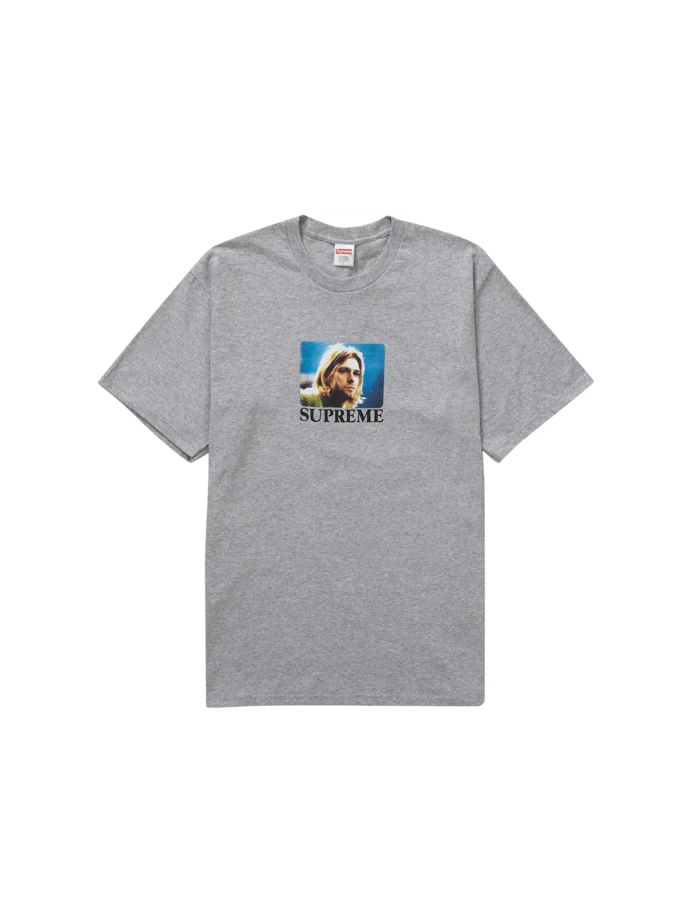 Мужская футболка с принтом Tee Supreme — изображение 1 из 1, серый