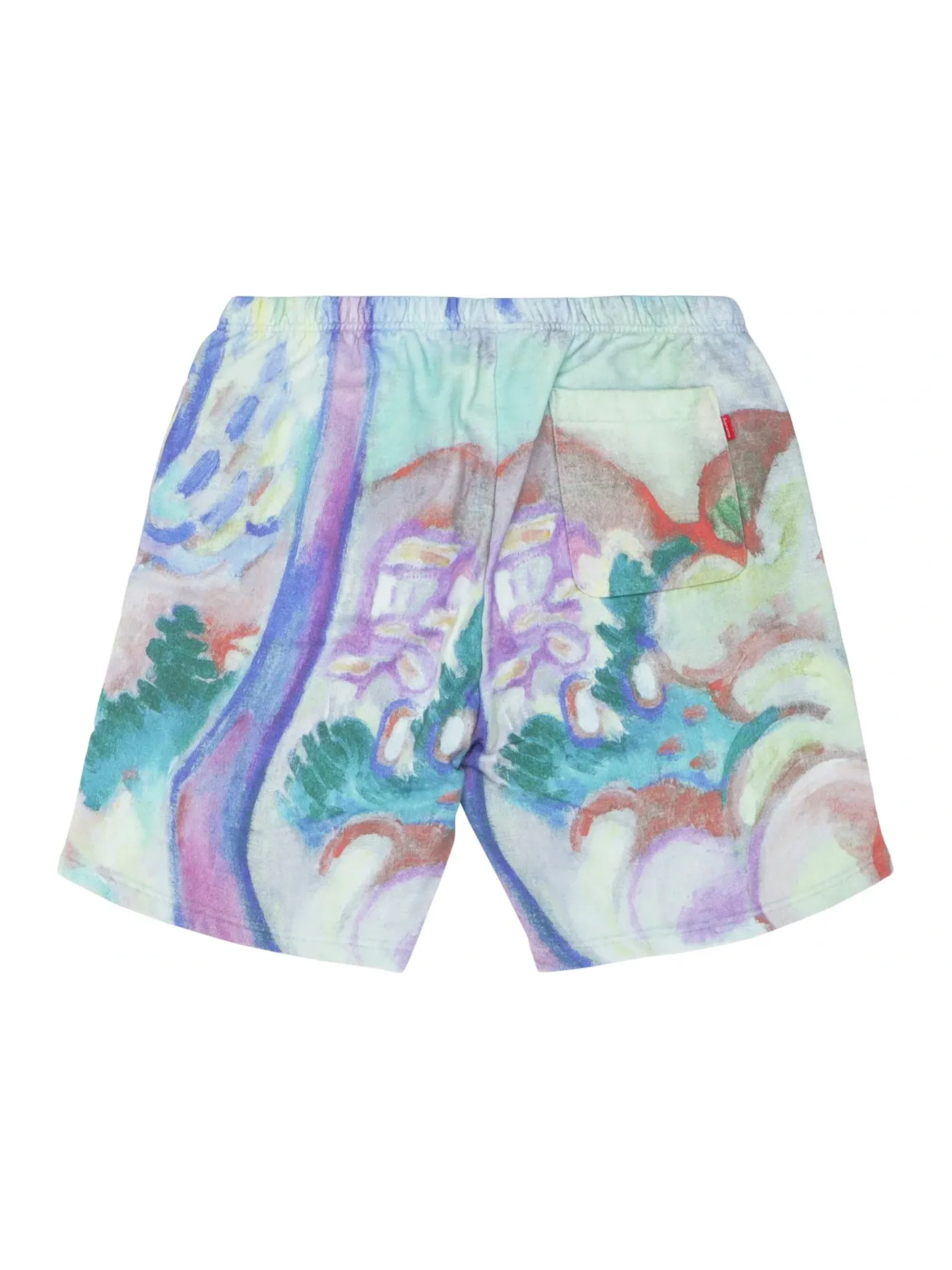 Мужские шорты с принтом Supreme Sweatshort — изображение 2 из 2, мульти