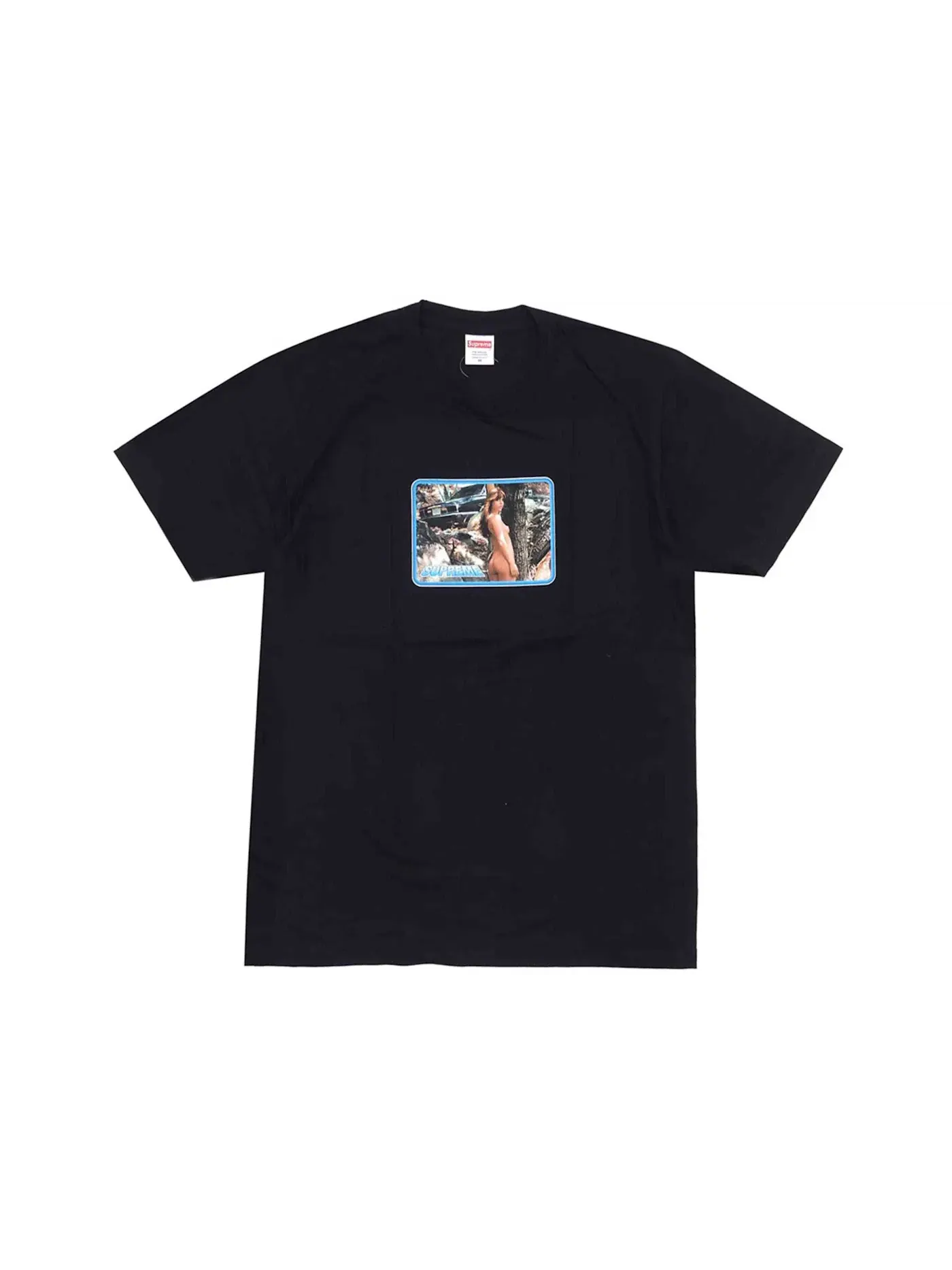 Мужская футболка с принтом Larry Clark Supreme — изображение 1 из 1, черный