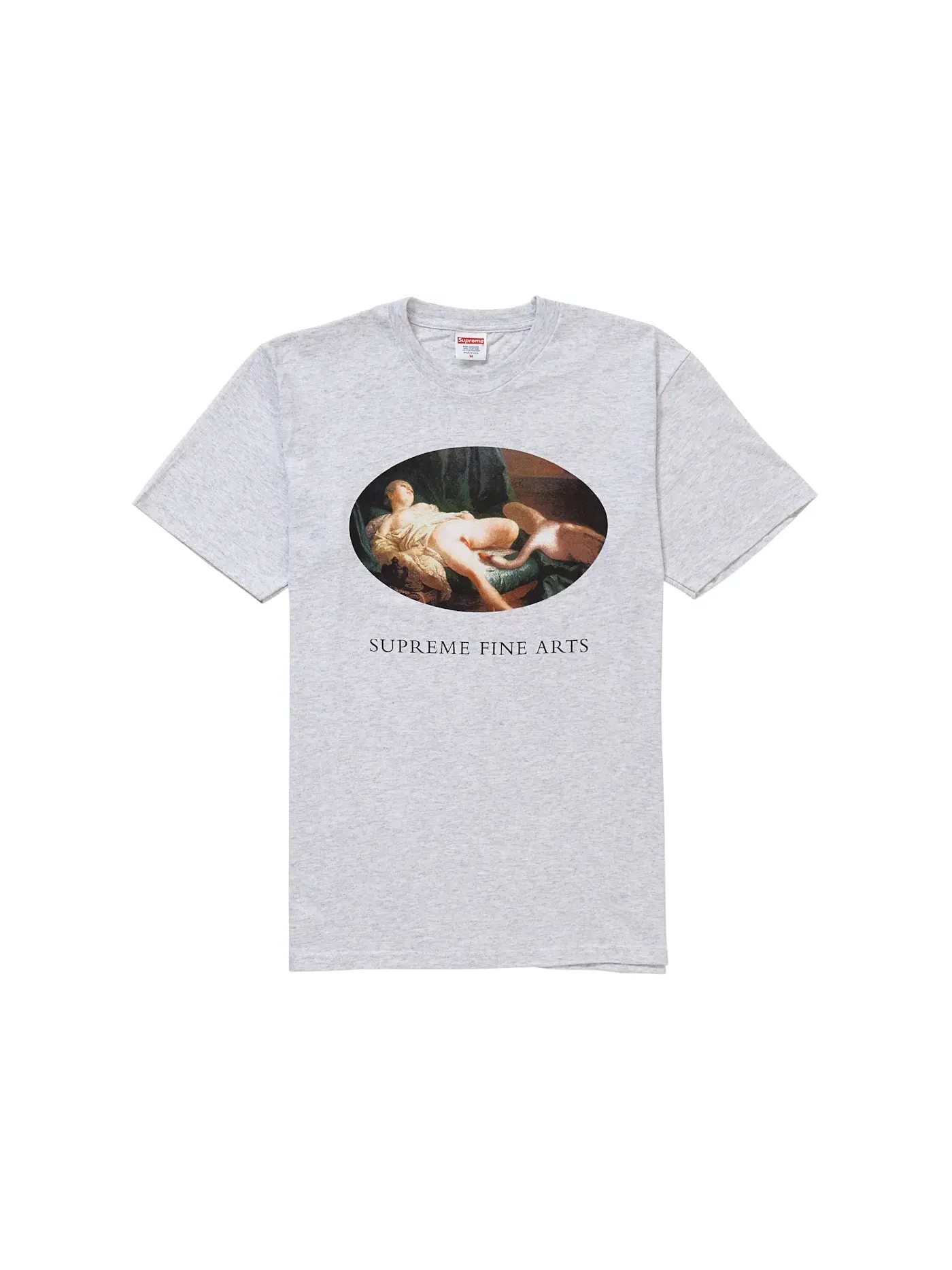 Мужская футболка с принтом Leda and the Swan Tee Supreme — изображение 1 из 1, серый