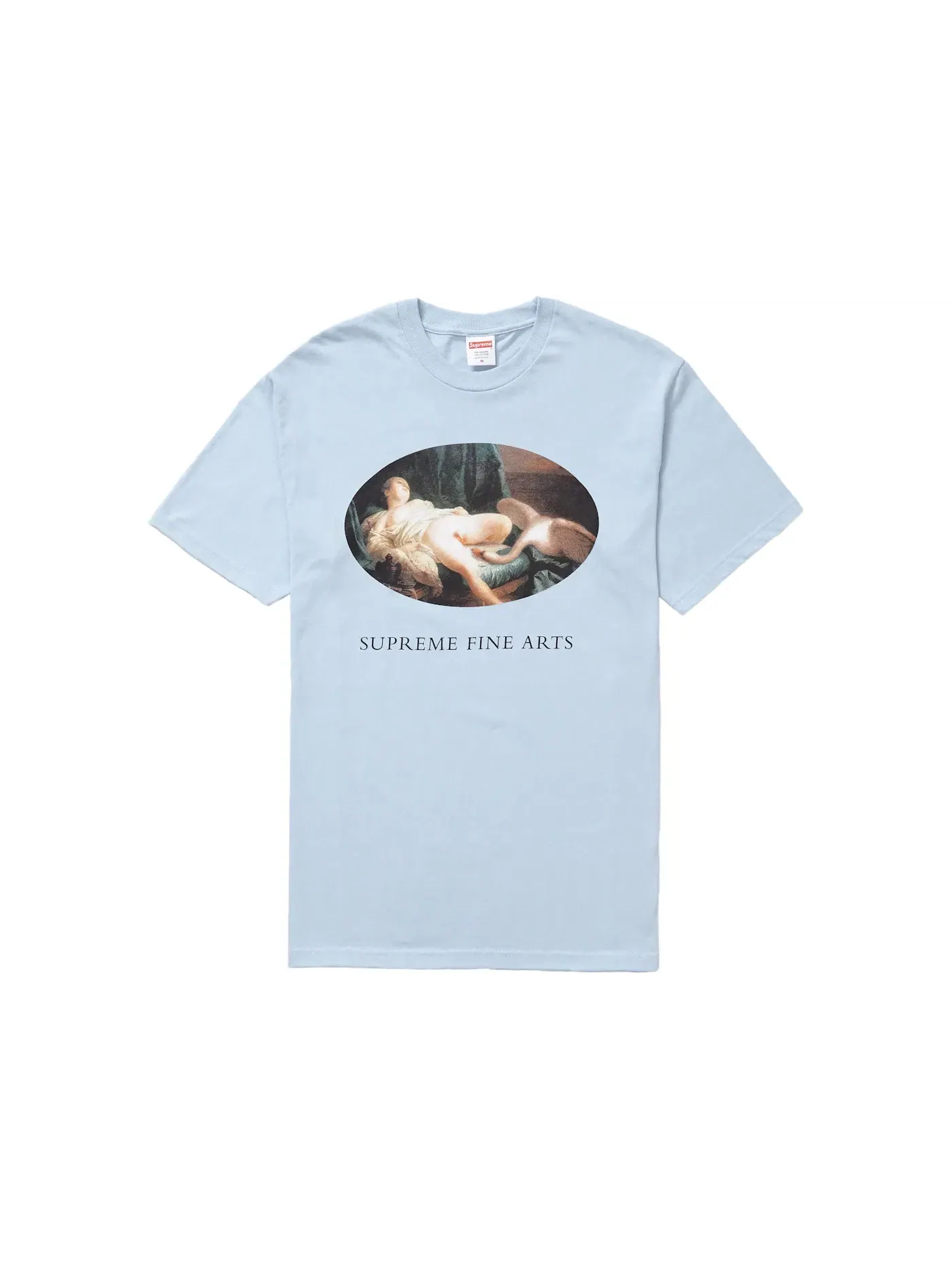 Мужская футболка с принтом Supreme Leda and the Swan Tee — изображение 1 из 1, светлый синий