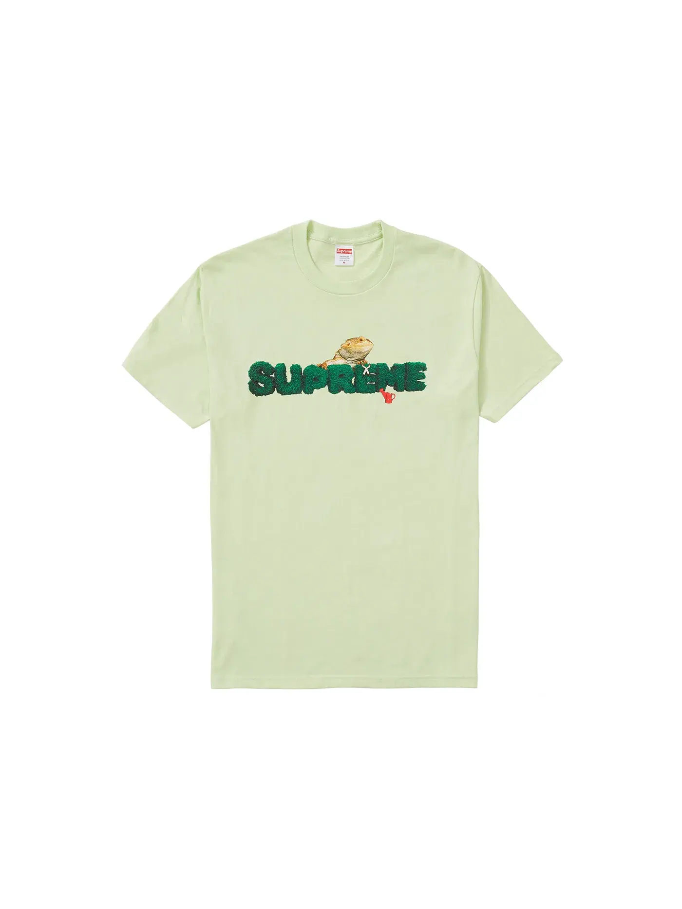 Мужская футболка с принтом Supreme Tee, Pale Mint — изображение 1 из 1