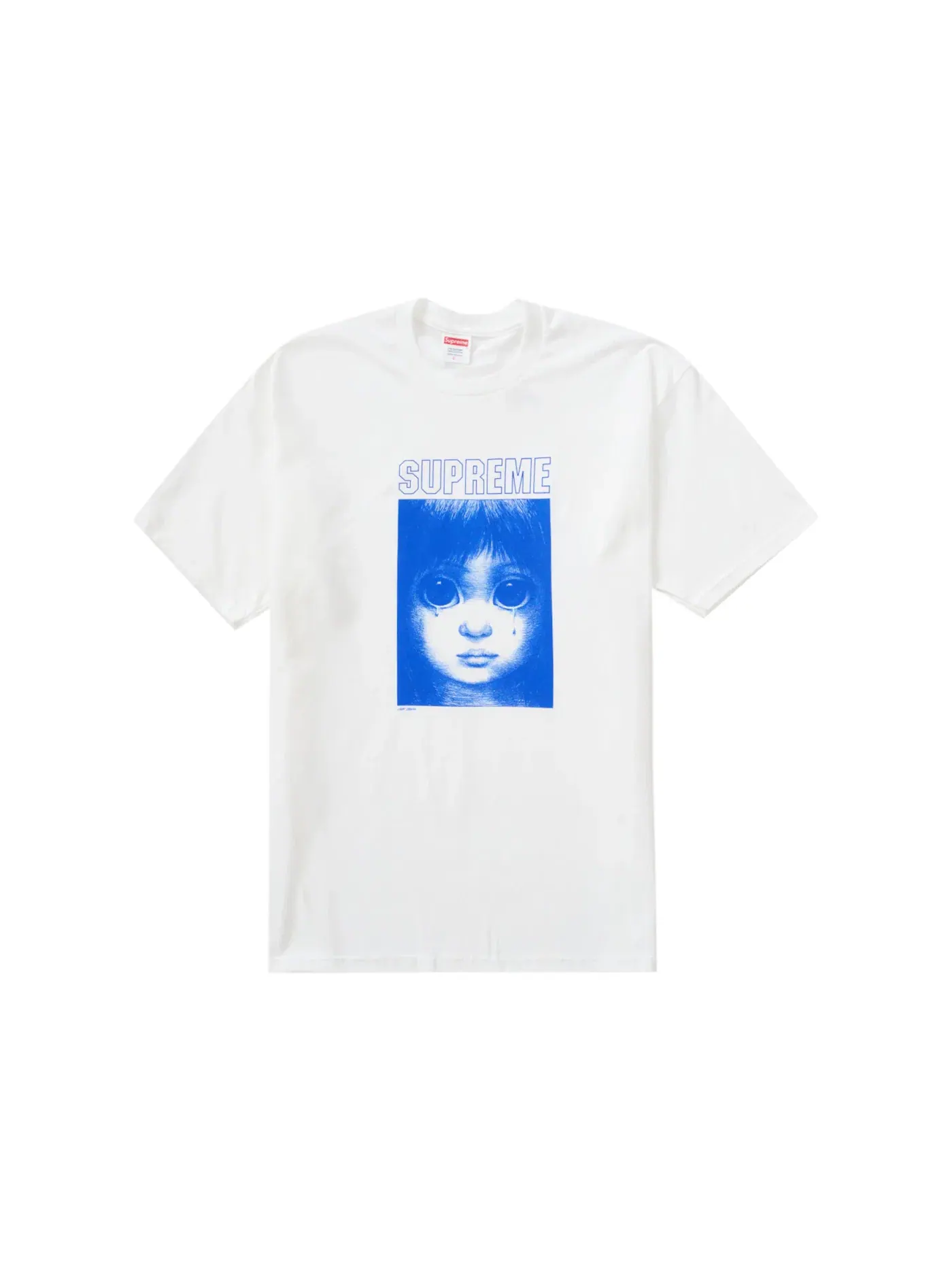 Мужская футболка с принтом Supreme Tee — изображение 1 из 1, белый
