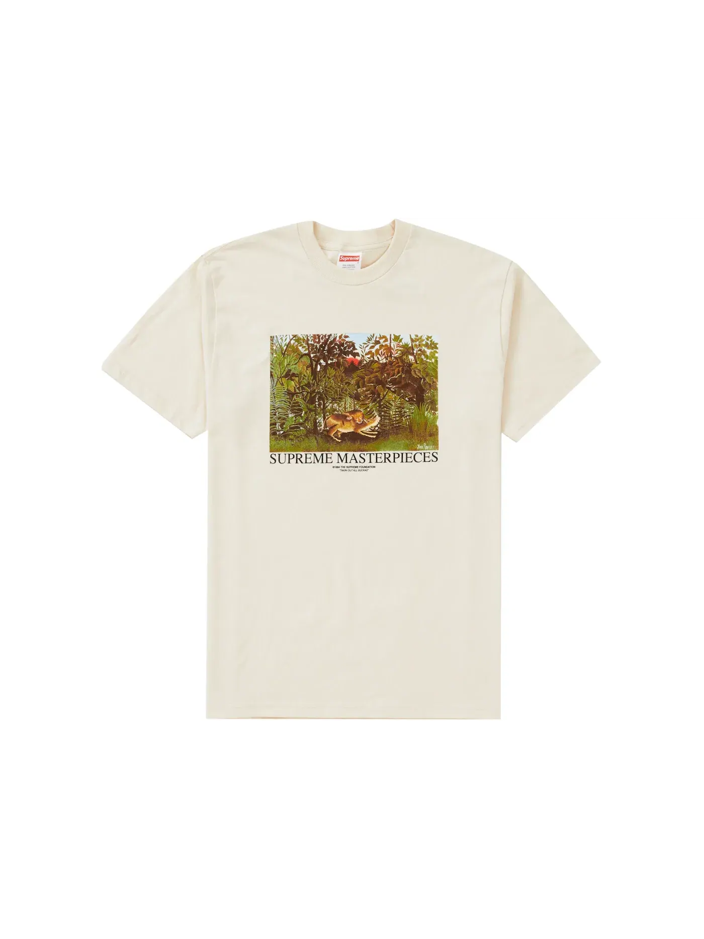 Мужская футболка с принтом Supreme Masterpieces Tee Supreme — изображение 1 из 1, прозрачный
