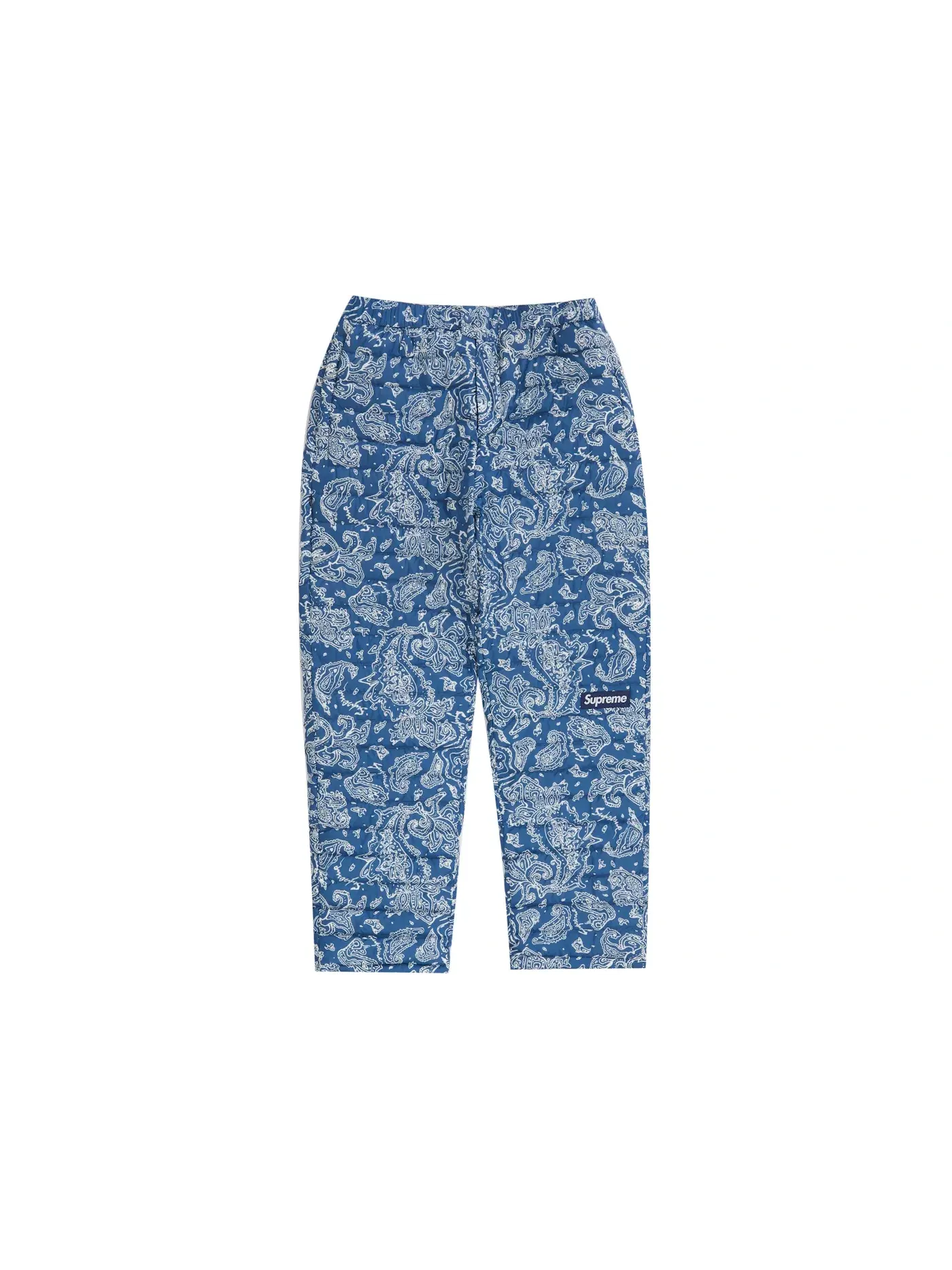 Мужские штаны с принтом Pant (FW22) Supreme — изображение 1 из 2, синий