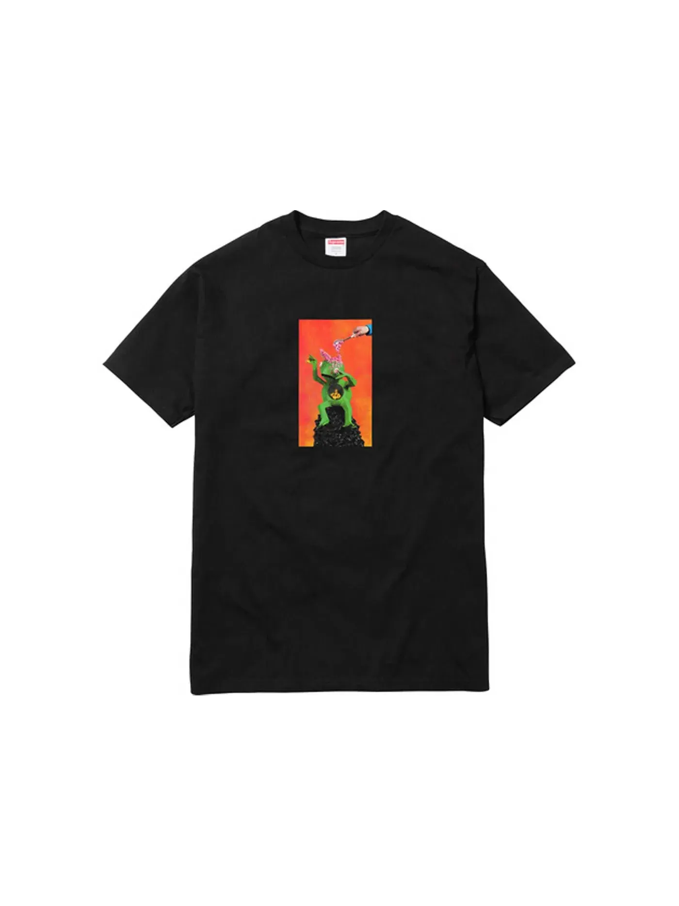 Мужская футболка с принтом Supreme Mike Hill Brains Tee — изображение 1 из 1, черный