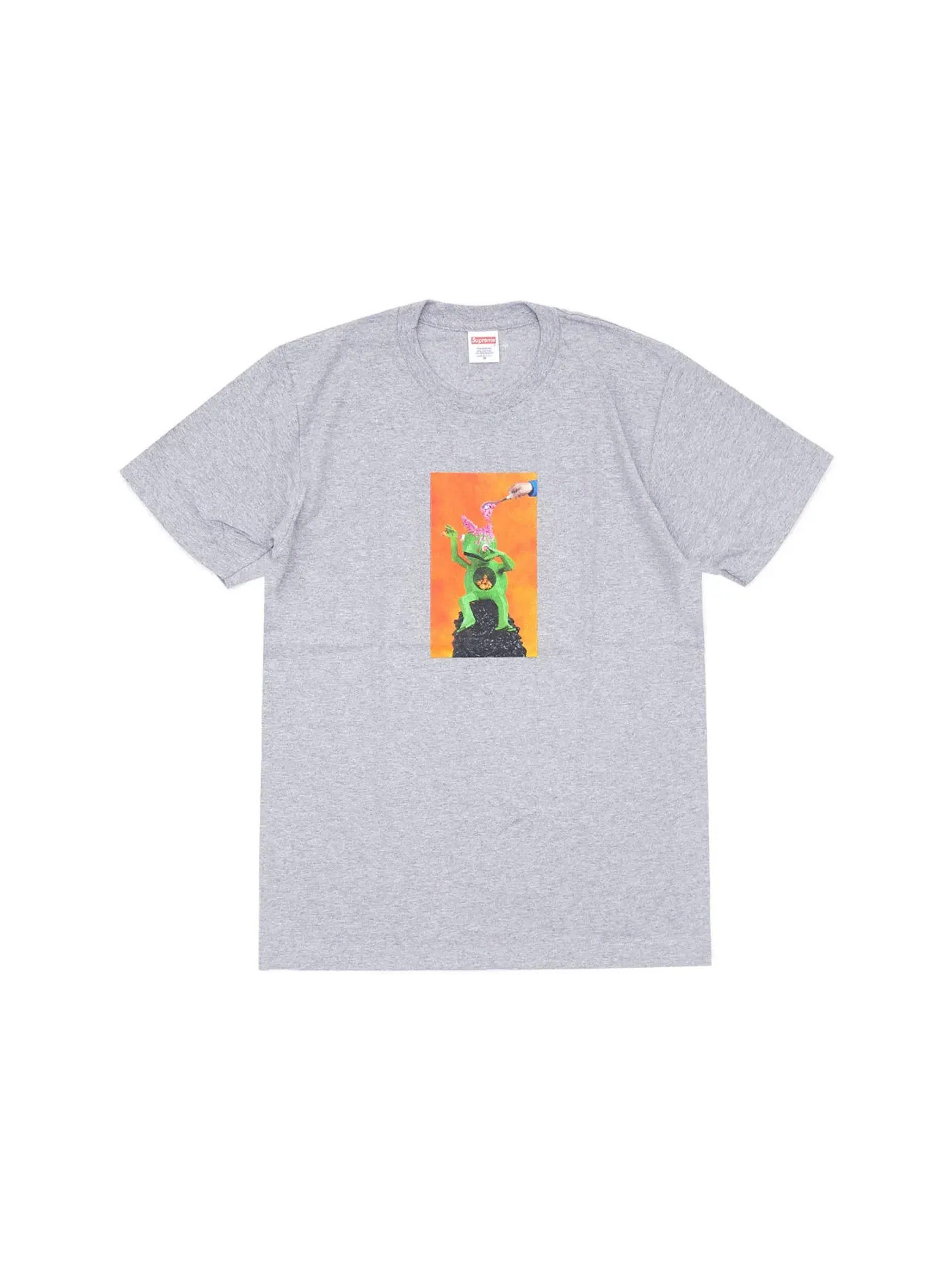 Мужская футболка Supreme Mike Hill Brains Tee — изображение 1 из 1, серый