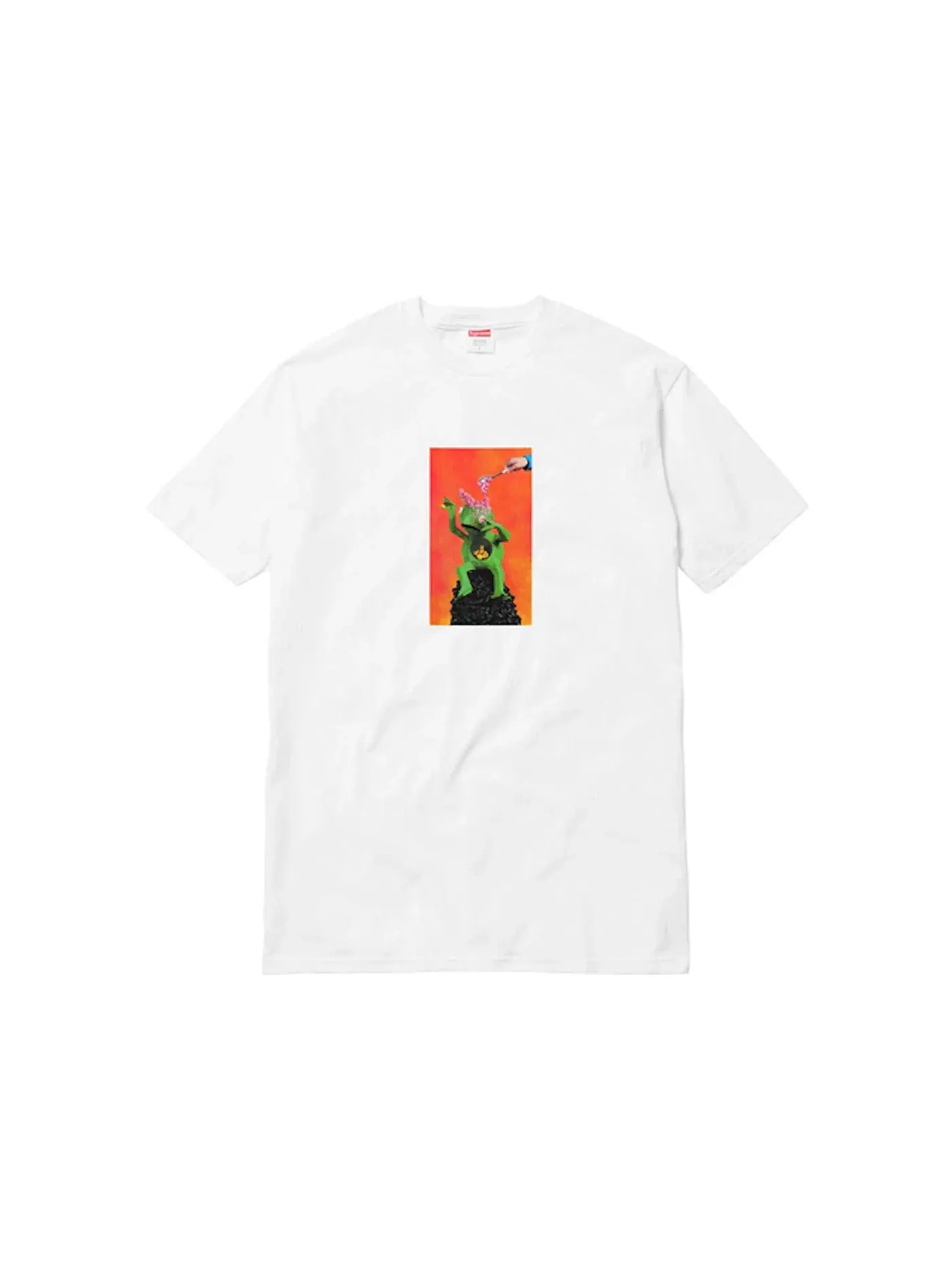 Мужская футболка с принтом Supreme Mike Hill Brains Tee — изображение 1 из 1, белый