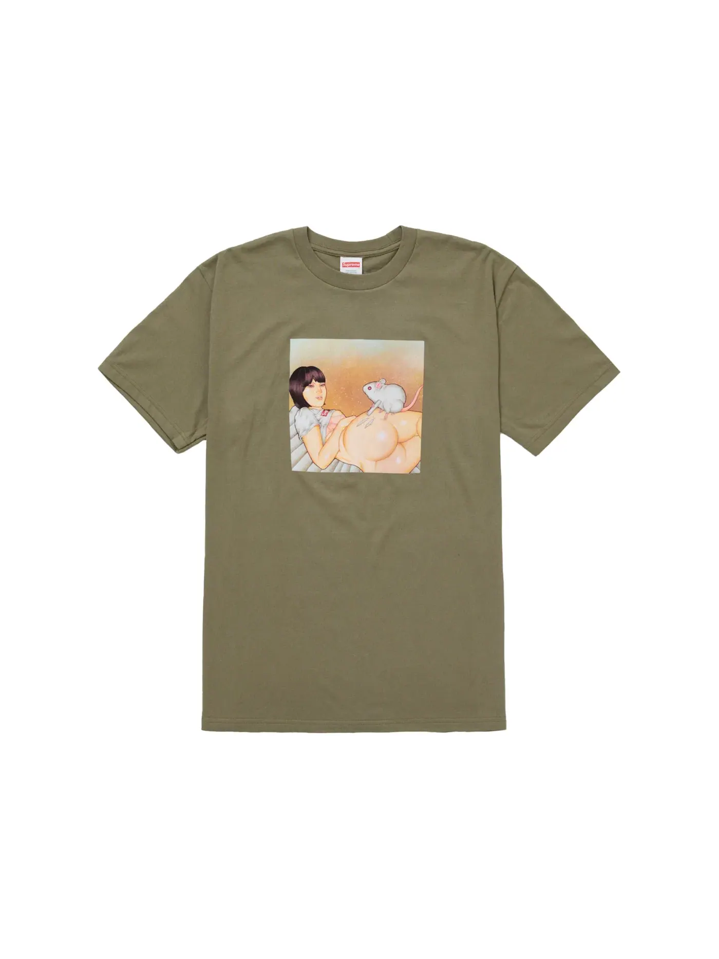 Мужская футболка с принтом Supreme Tee (SS25) — изображение 1 из 1, оливковый