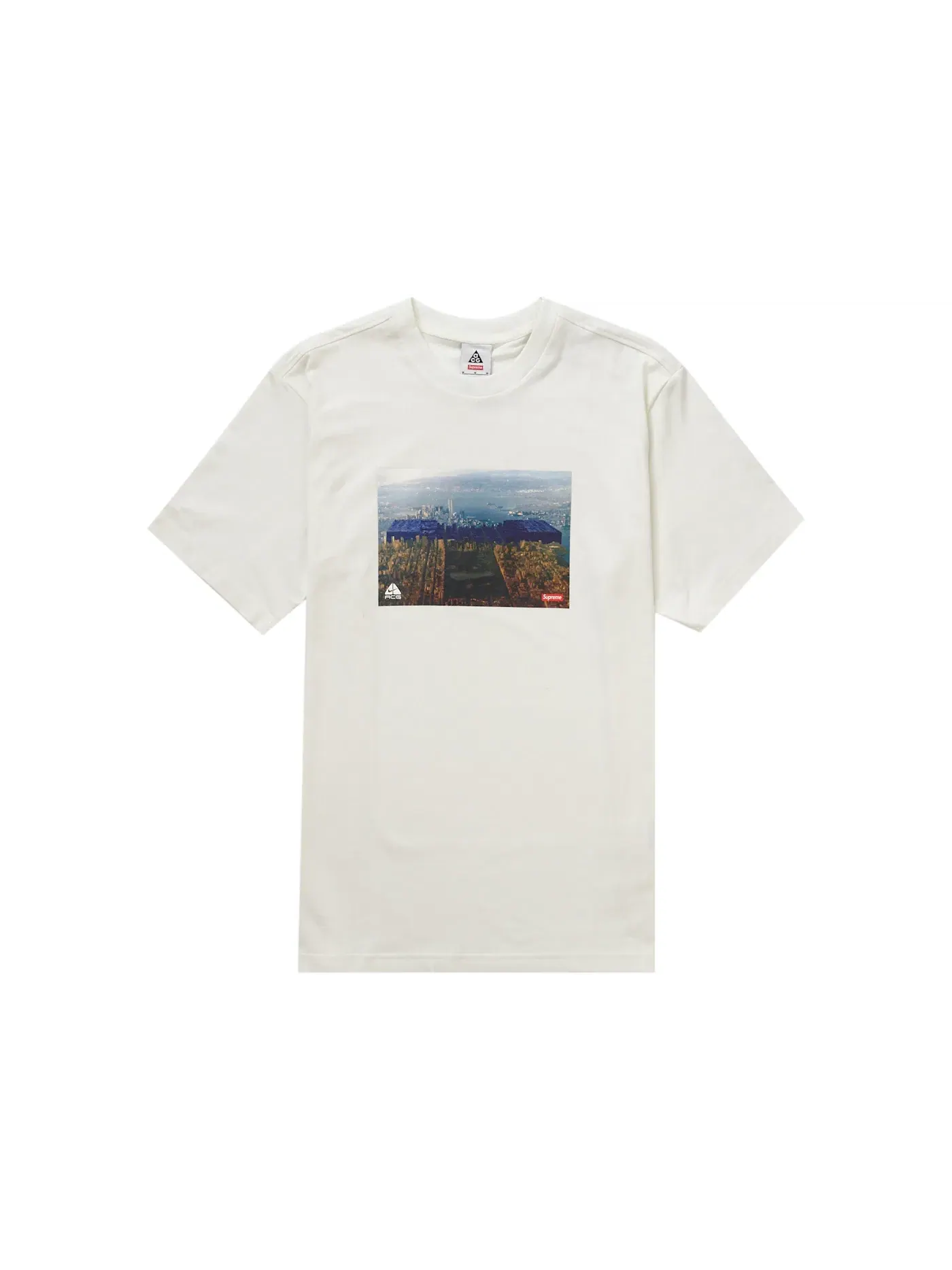 Мужская футболка с принтом Supreme Nike ACG Grid Tee — изображение 1 из 1, белый