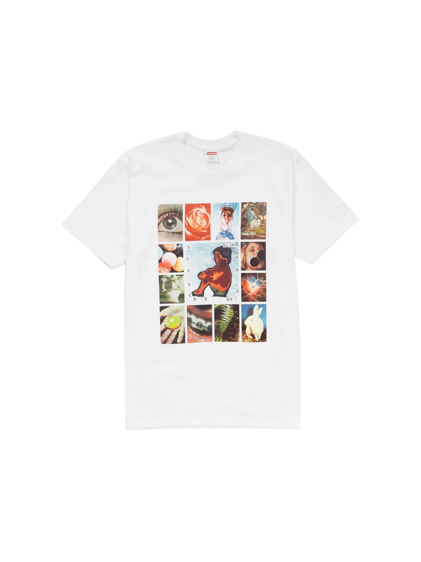 Мужская футболка с принтом Supreme Original Sin Tee — изображение 1 из 1, белый