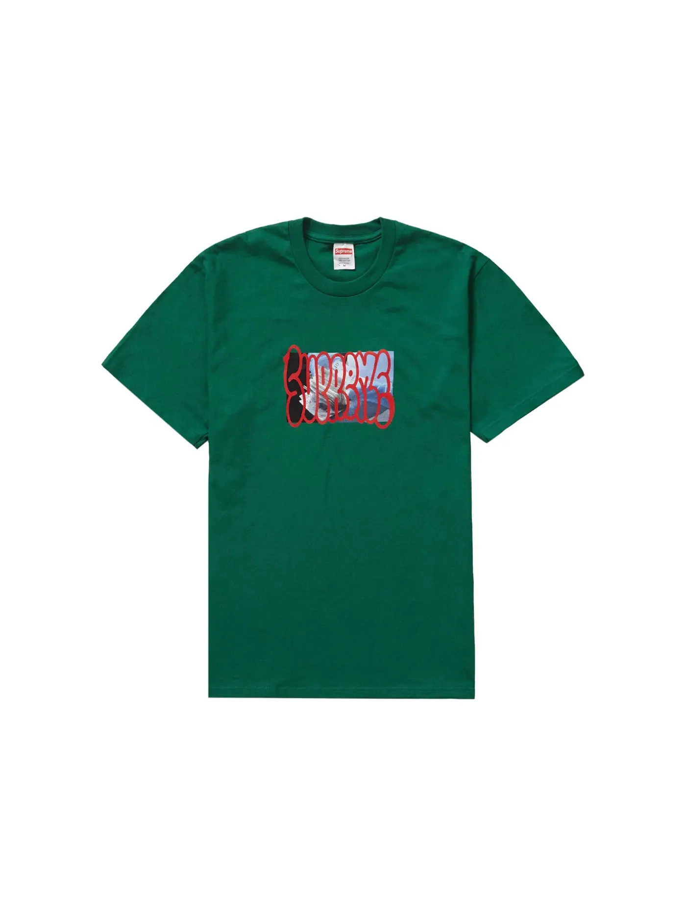 Мужская футболка с принтом Supreme Tee — изображение 1 из 1, зеленый