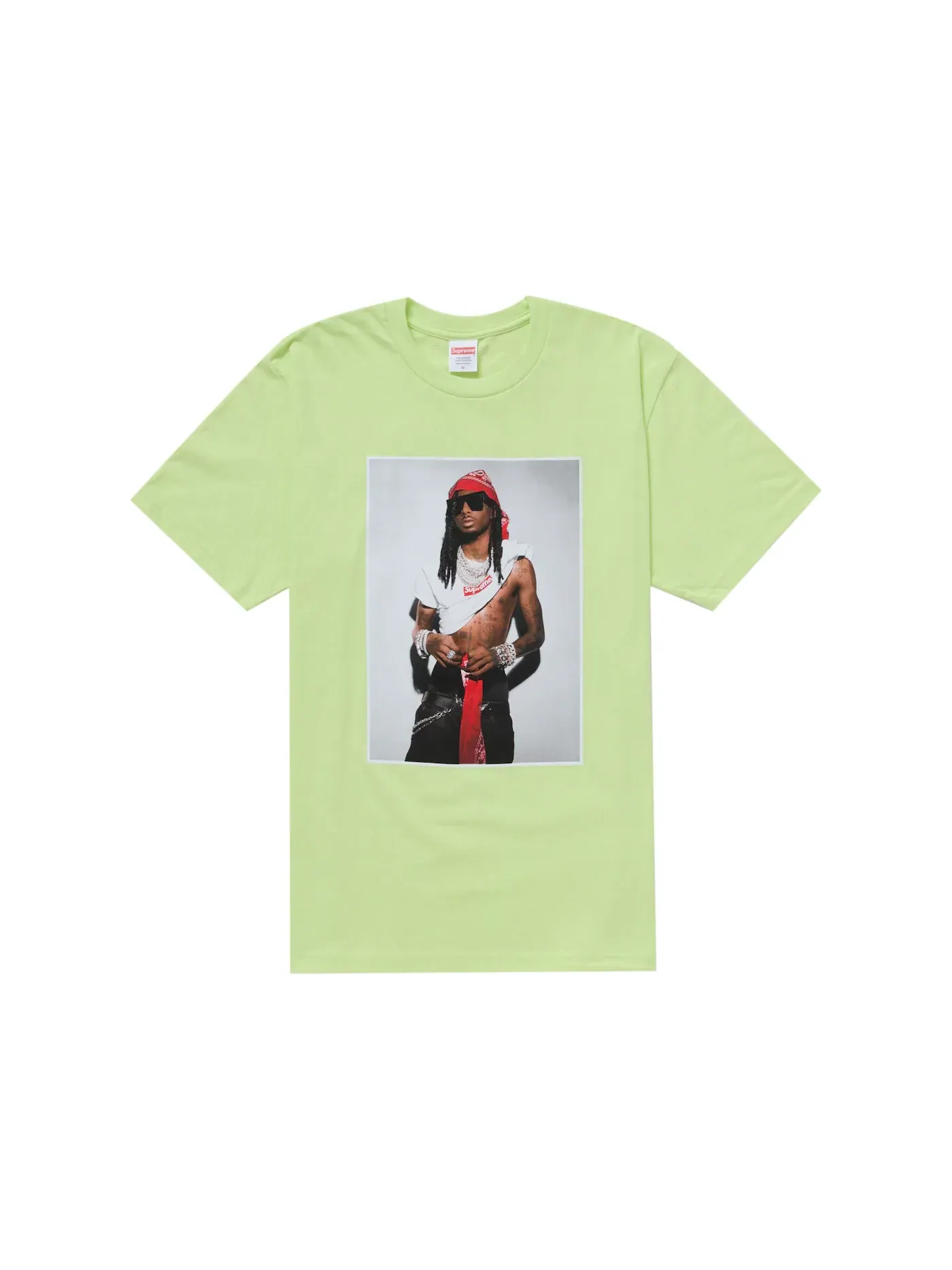 Мужская футболка с принтом Tee Supreme — изображение 1 из 1, бледный зеленый
