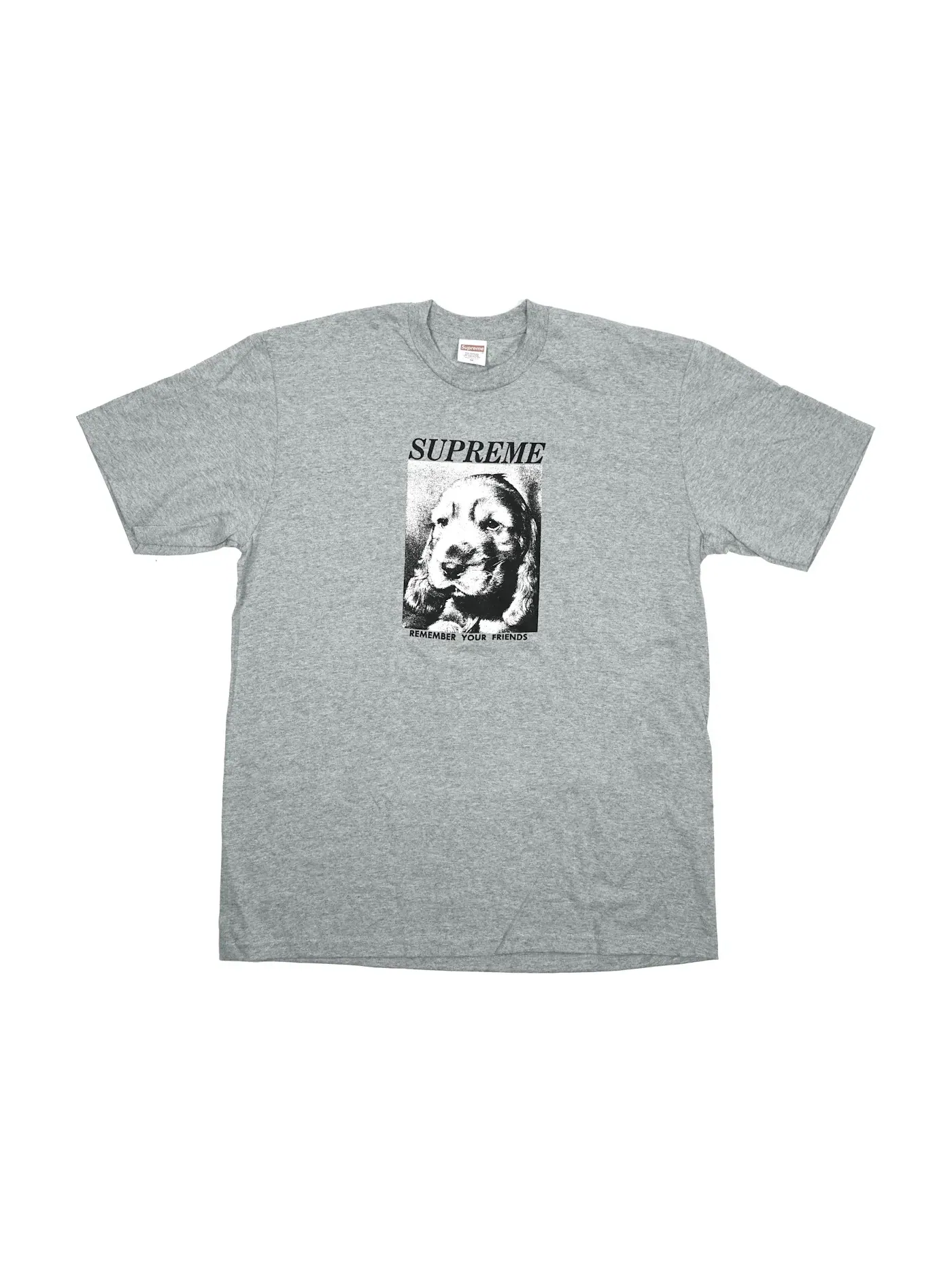 Мужская футболка с принтом Supreme Tee — изображение 1 из 1, серый