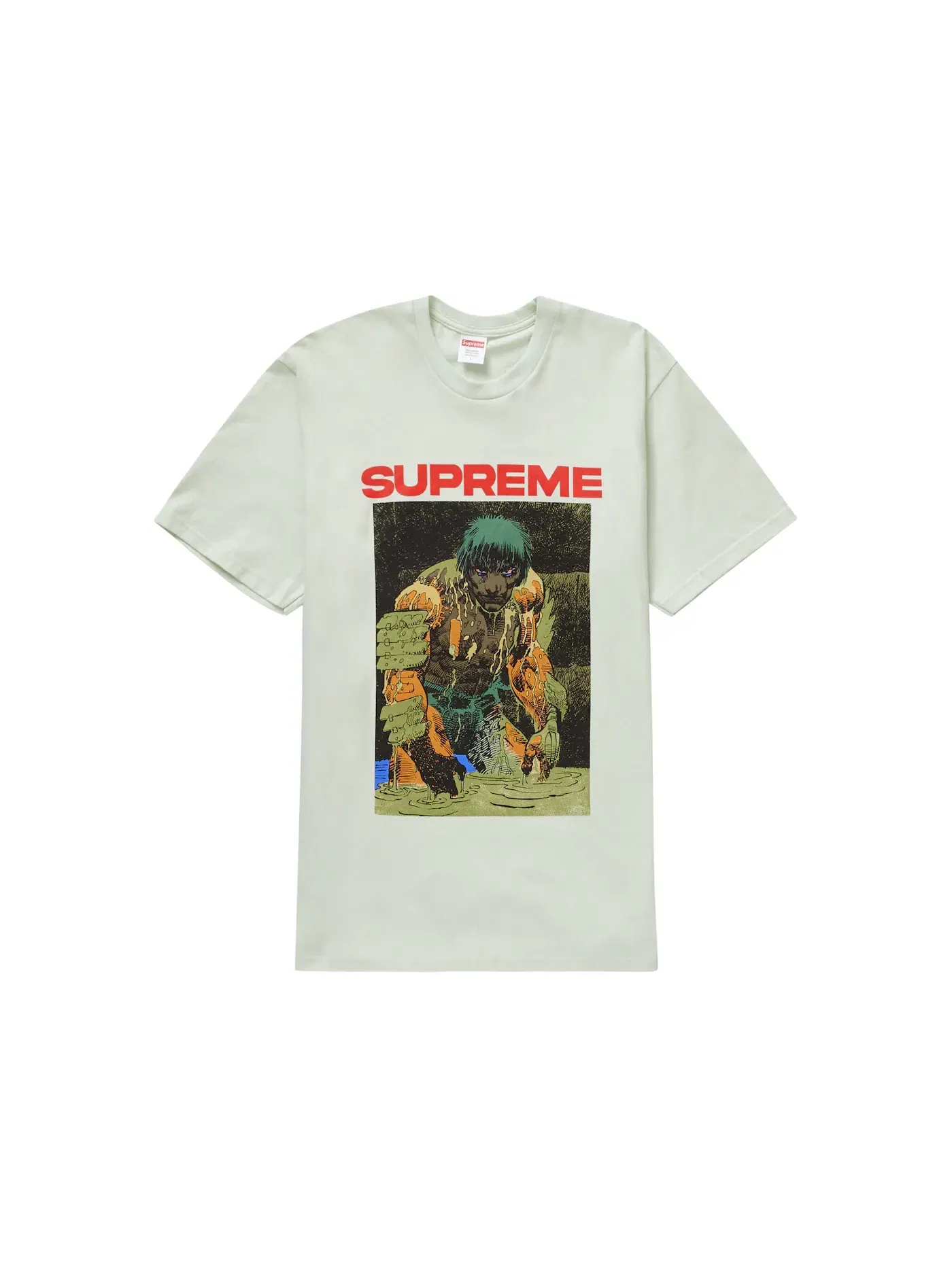 Мужская футболка с принтом Supreme Ronin Tee — изображение 1 из 2, бледный зеленый