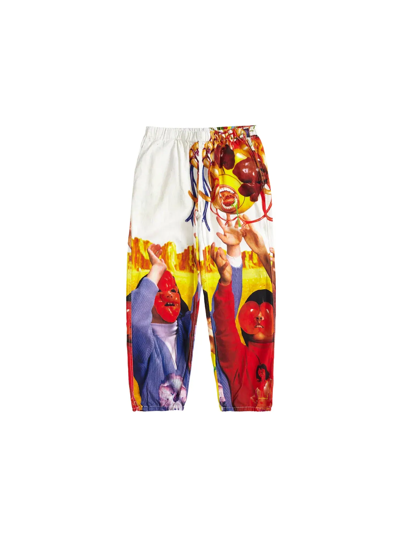 Мужские брюки Supreme Sekintani La Norihiro Skate Pant — изображение 1 из 2, мульти